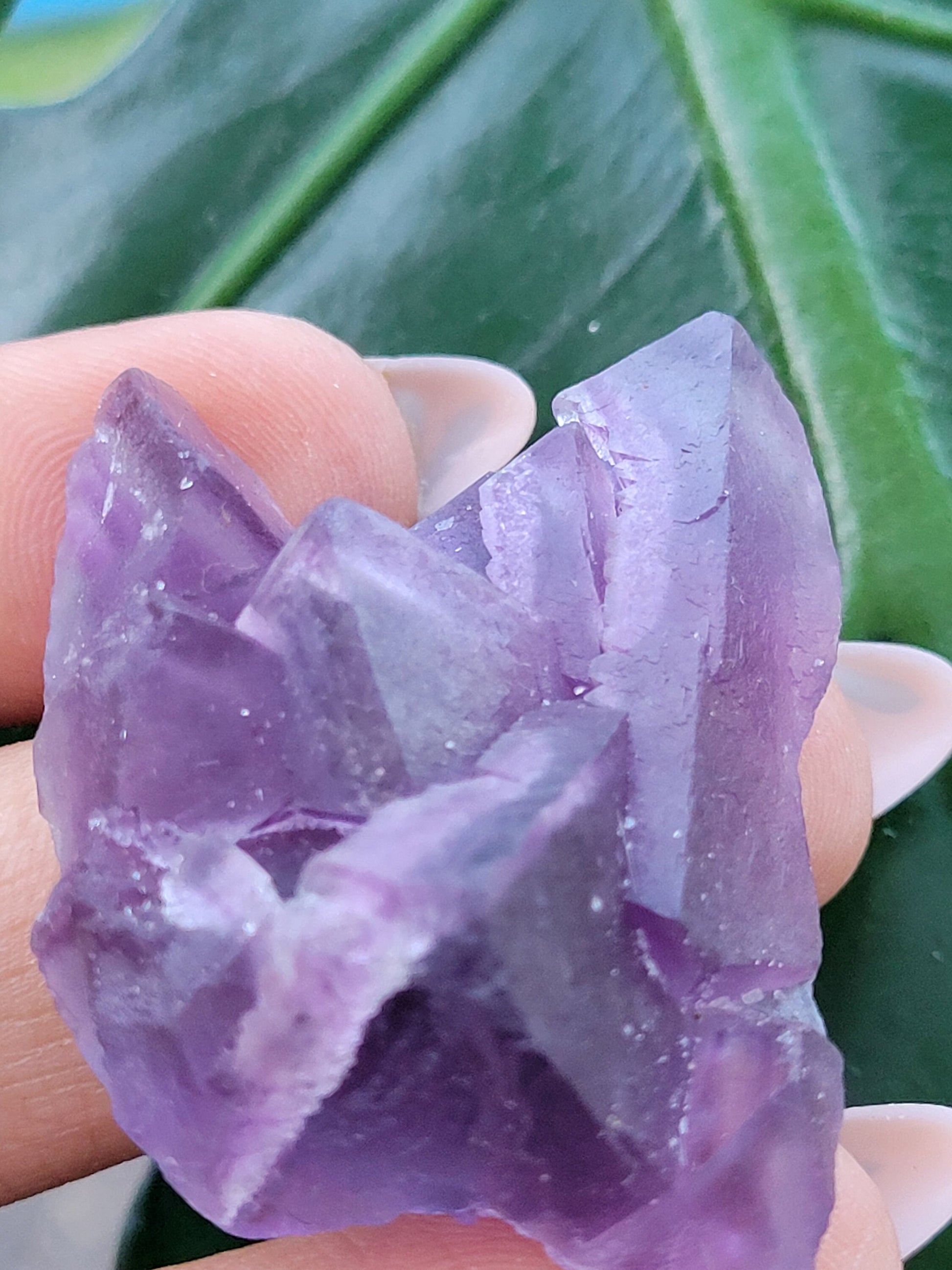 Beautiful Fluorite Specimen | Purple |Crystal Collector | Home Decor | Gift Ideas for Birthday Christmas Love | The Genius Stone