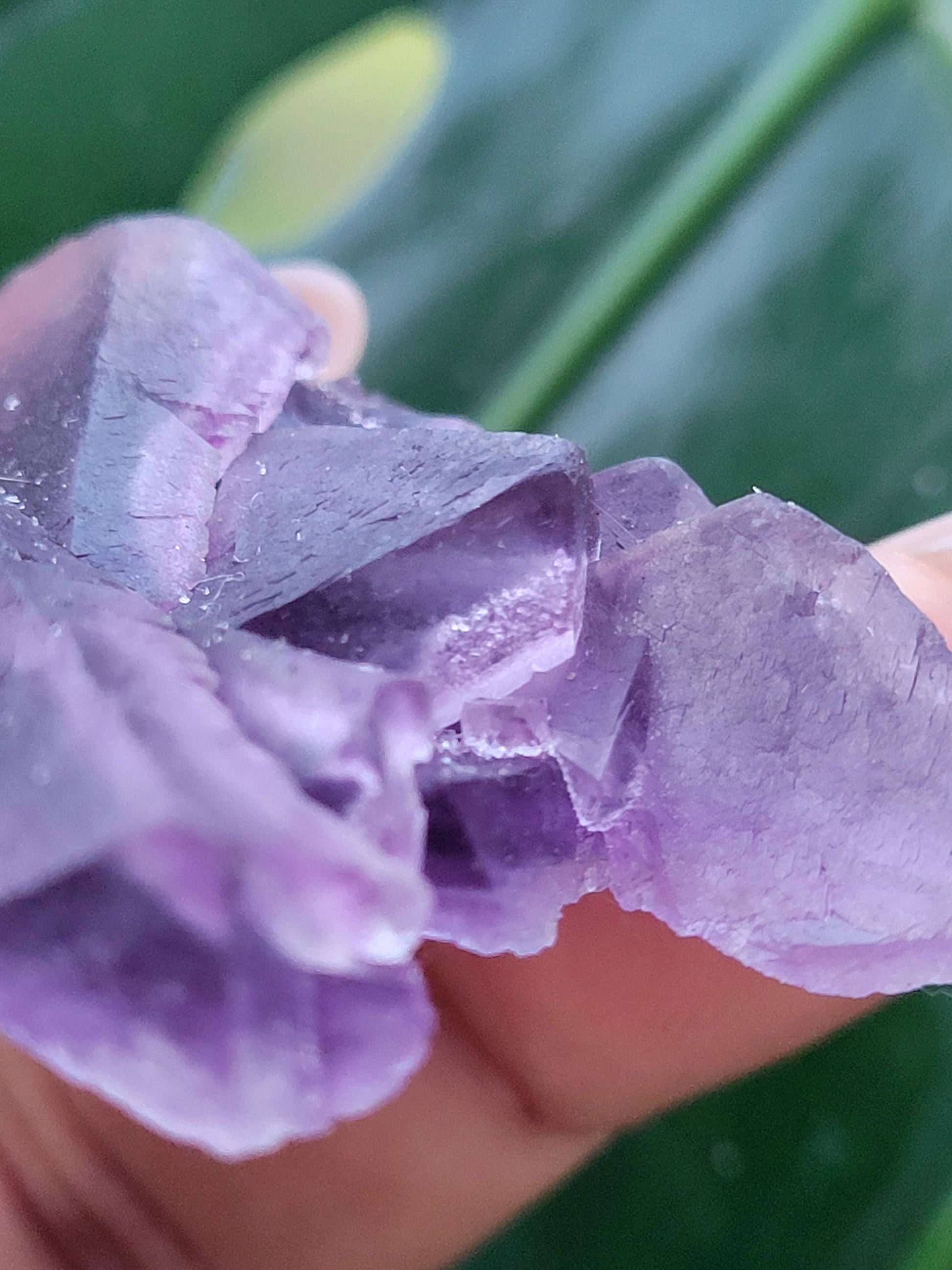Beautiful Fluorite Specimen | Purple |Crystal Collector | Home Decor | Gift Ideas for Birthday Christmas Love | The Genius Stone
