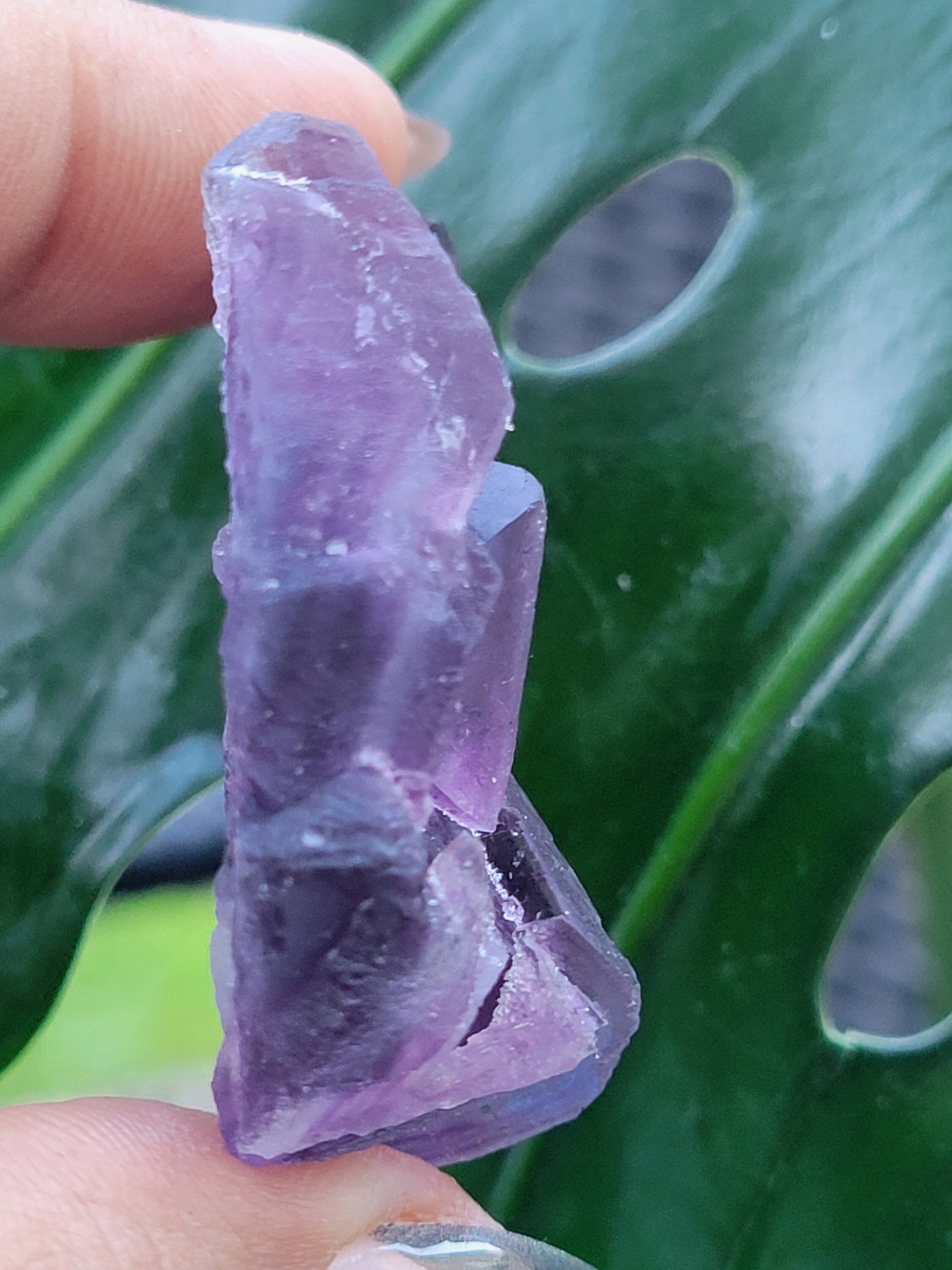 Beautiful Fluorite Specimen | Purple |Crystal Collector | Home Decor | Gift Ideas for Birthday Christmas Love | The Genius Stone