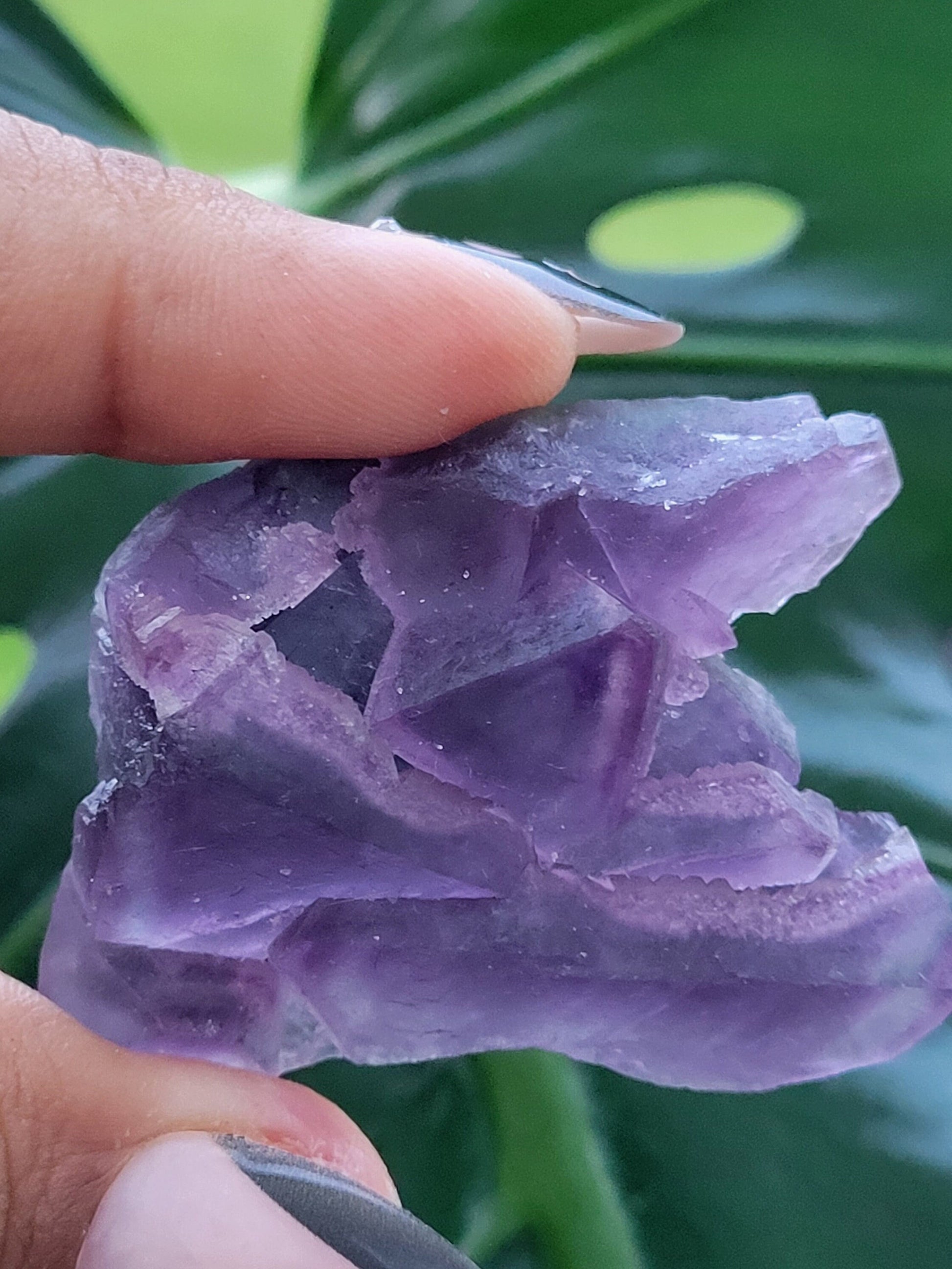 Beautiful Fluorite Specimen | Purple |Crystal Collector | Home Decor | Gift Ideas for Birthday Christmas Love | The Genius Stone