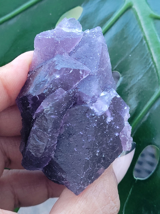 Beautiful Fluorite Specimen | Bicolor Purple and Lavender | Crystal Collector|Home Decor | Birthday Christmas Love Gift Ideas | Genius Stone