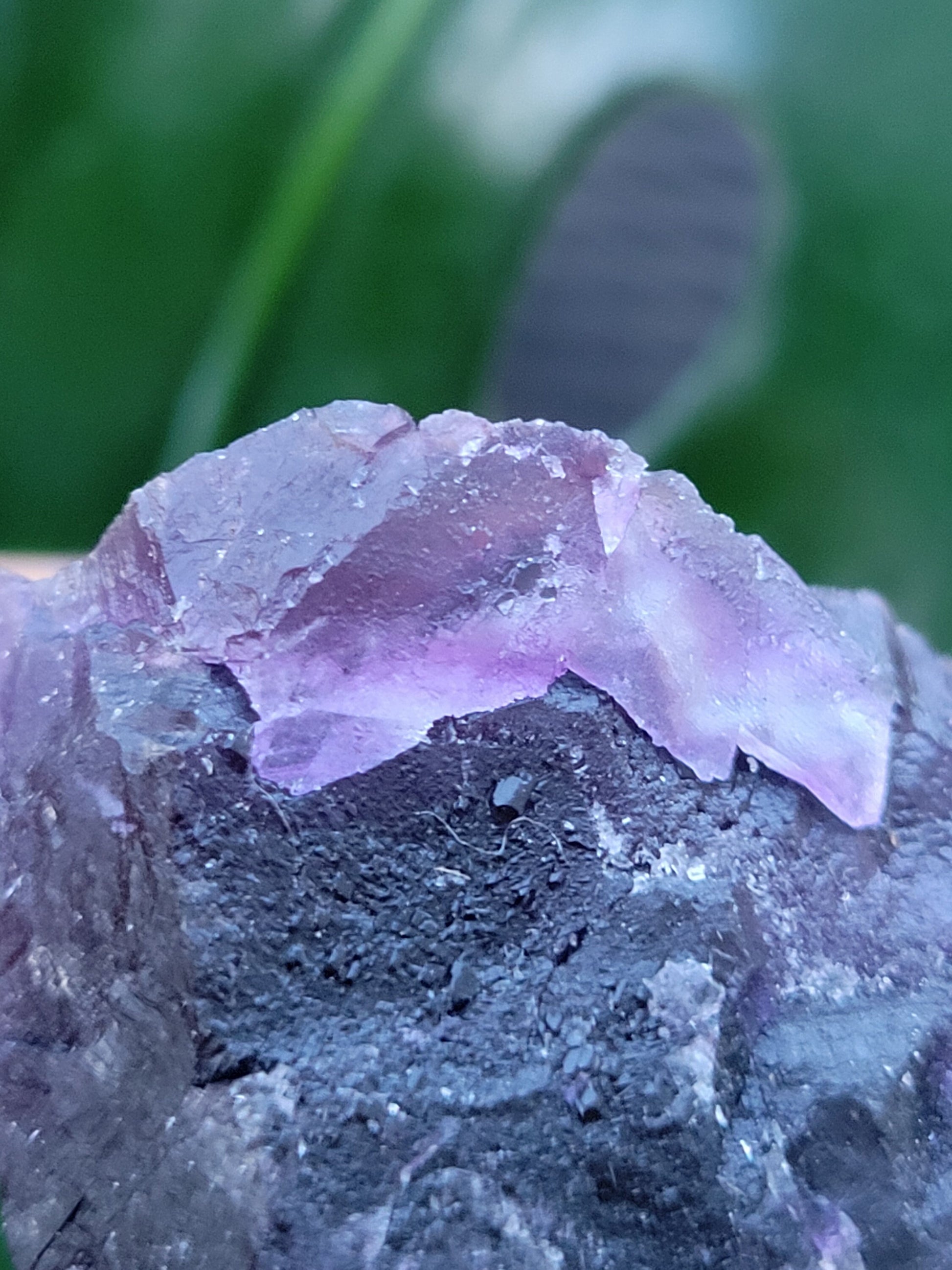 Beautiful Fluorite Specimen | Purple |Crystal Collector | Home Decor | Gift Ideas for Birthday Christmas Love | The Genius Stone