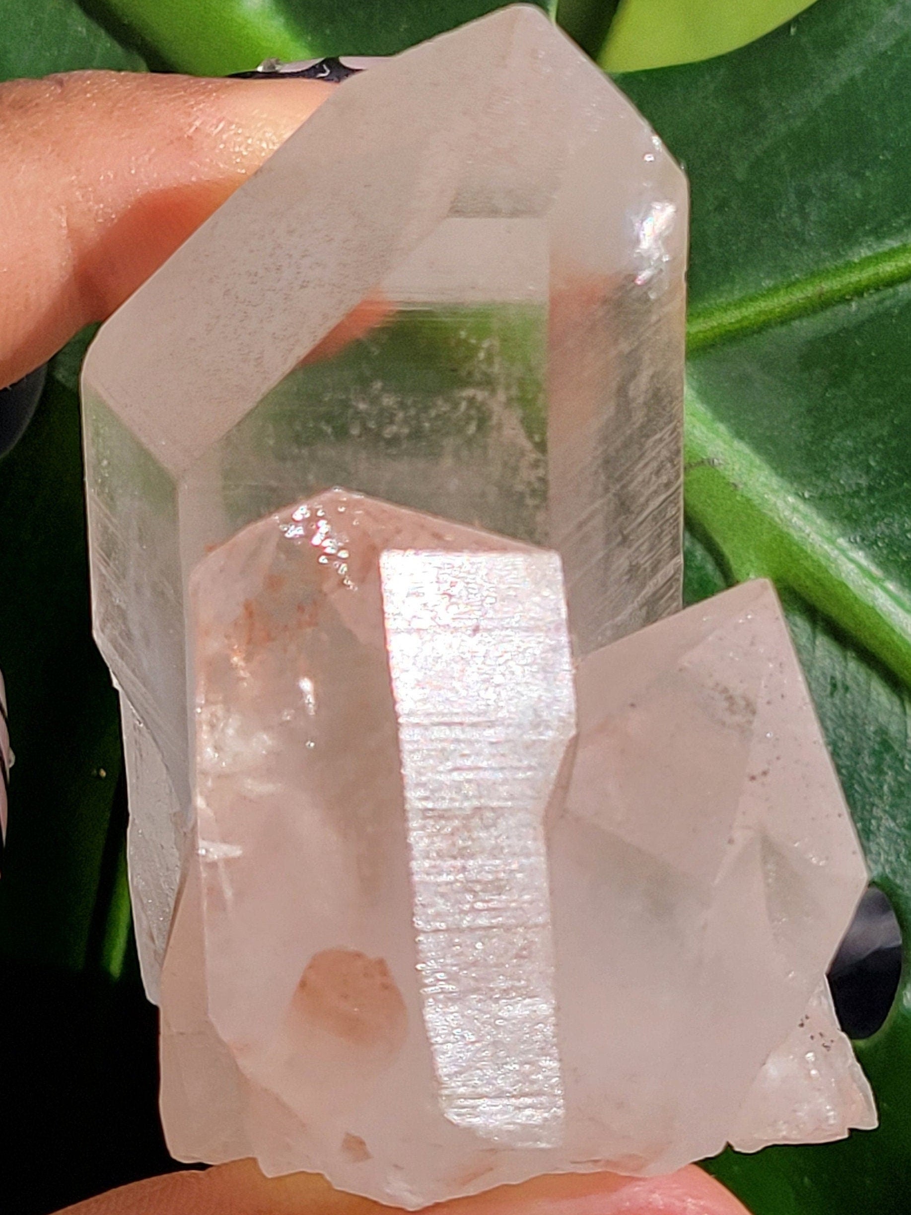 RARE Stunning Pink Himalayan Quartz Cluster from the Himalayan Mountains | Black Hematite Inclusion | Crystal Collector | Gift | Home Decor