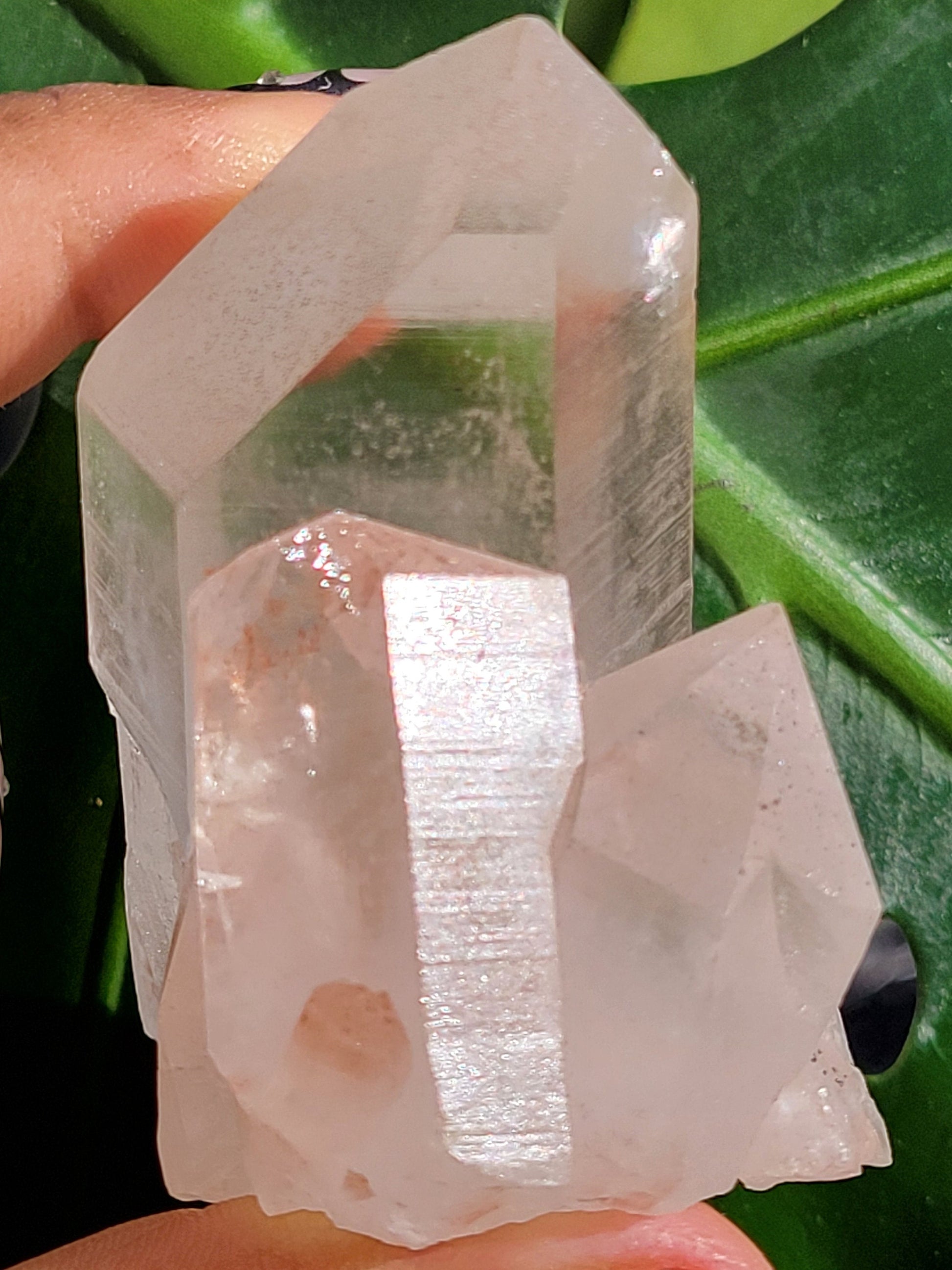 RARE Stunning Pink Himalayan Quartz Cluster from the Himalayan Mountains | Black Hematite Inclusion | Crystal Collector | Gift | Home Decor