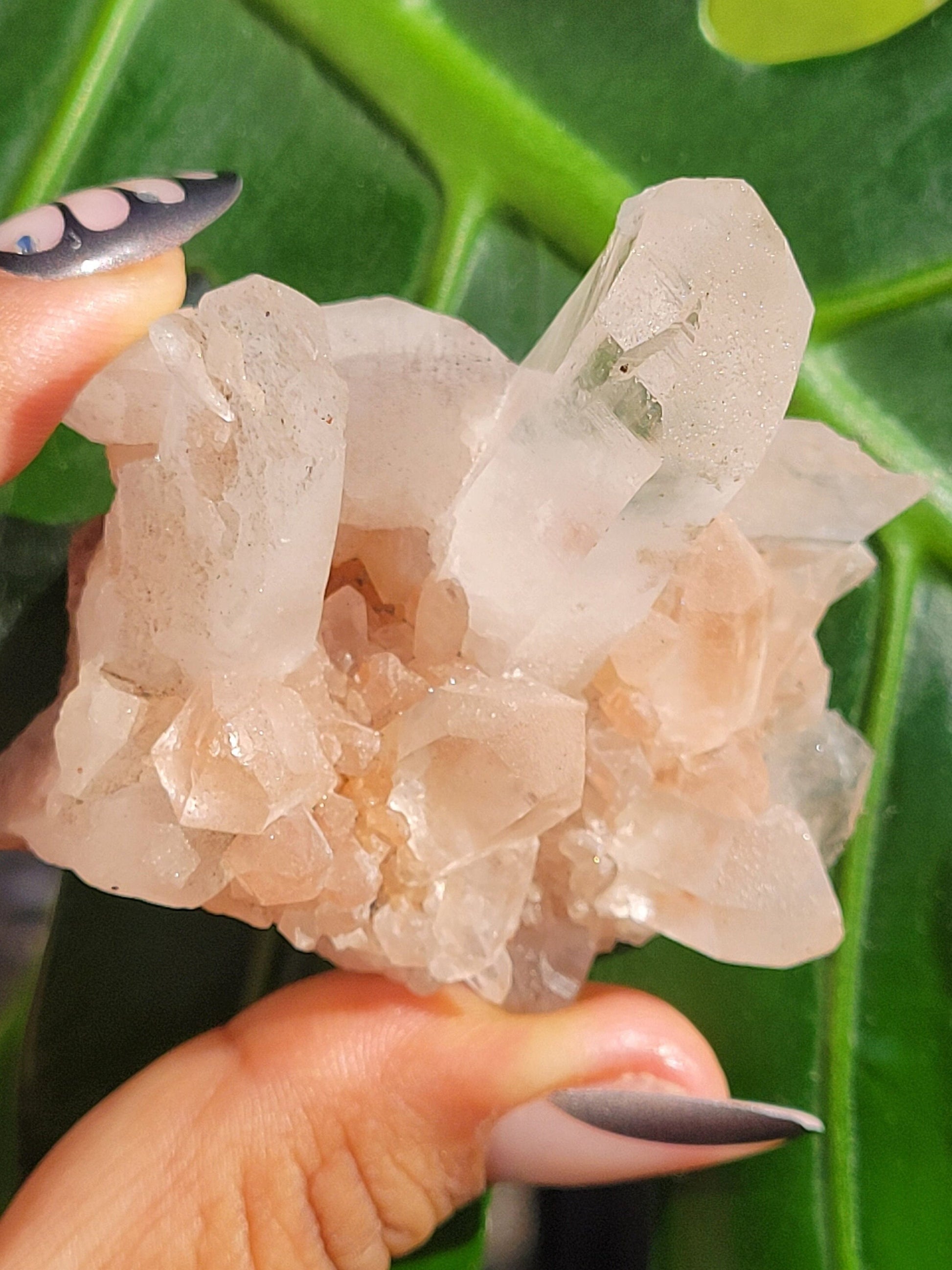 Stunning Pink Himalayan Quartz Cluster from the Himalayan Mountains|Crystal Collector|Birthday Valentines Day Love Gift Ideas | Home Decor