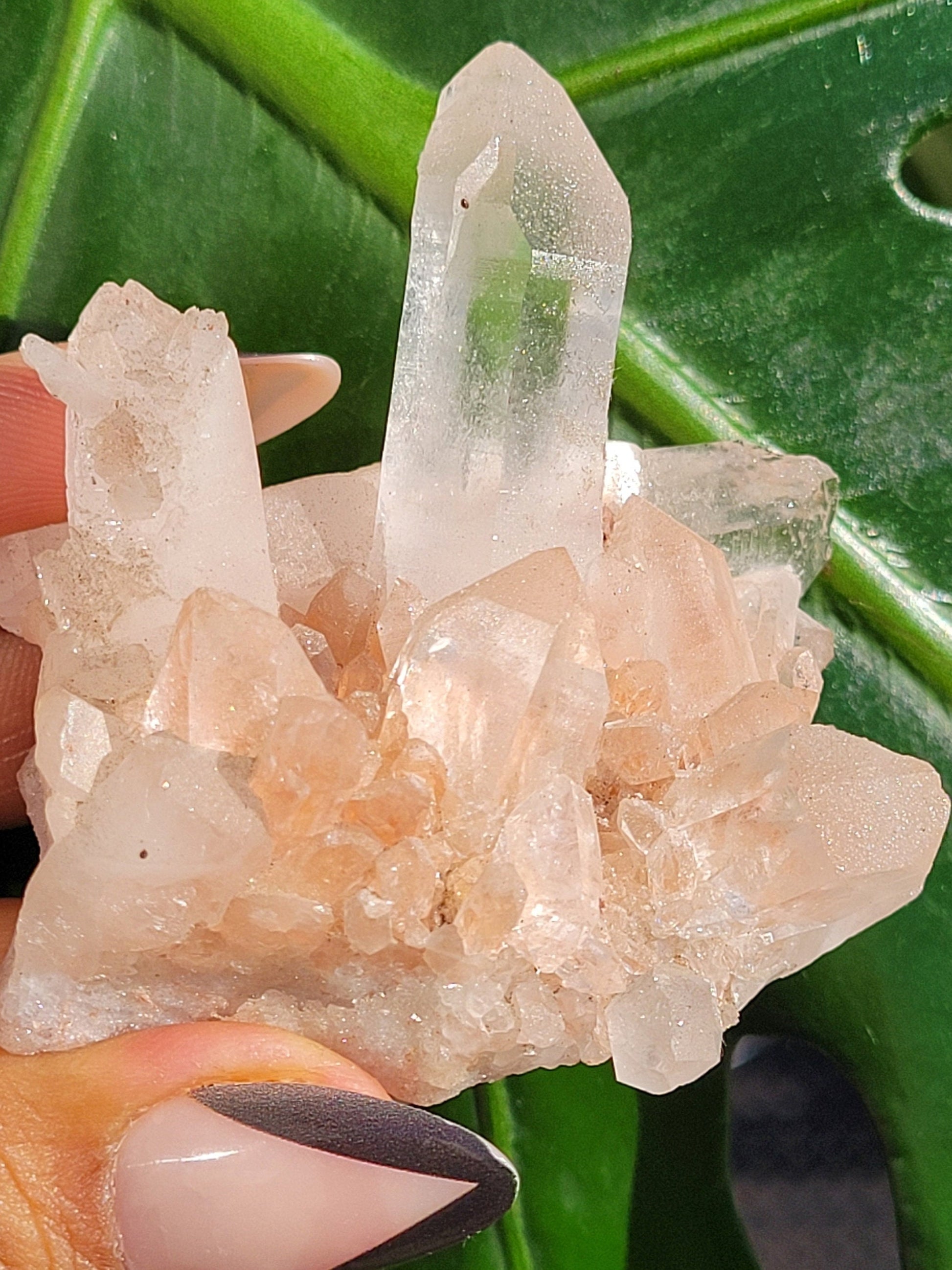 Stunning Pink Himalayan Quartz Cluster from the Himalayan Mountains|Crystal Collector|Birthday Valentines Day Love Gift Ideas | Home Decor