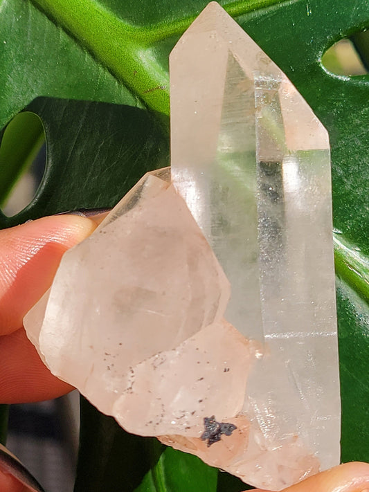 RARE Stunning Pink Himalayan Quartz Cluster from the Himalayan Mountains | Black Hematite Inclusion | Crystal Collector | Gift | Home Decor