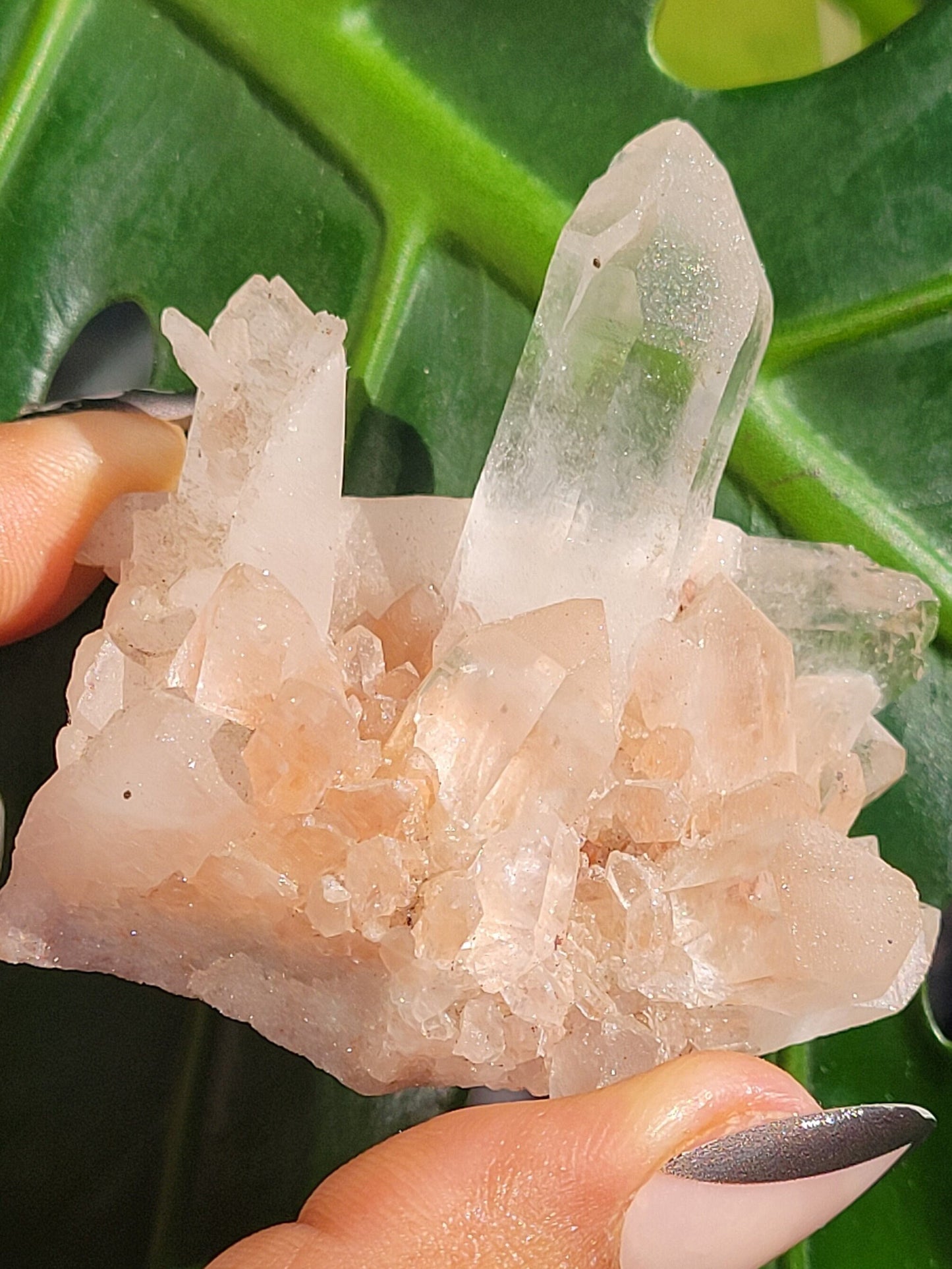 Stunning Pink Himalayan Quartz Cluster from the Himalayan Mountains|Crystal Collector|Birthday Valentines Day Love Gift Ideas | Home Decor
