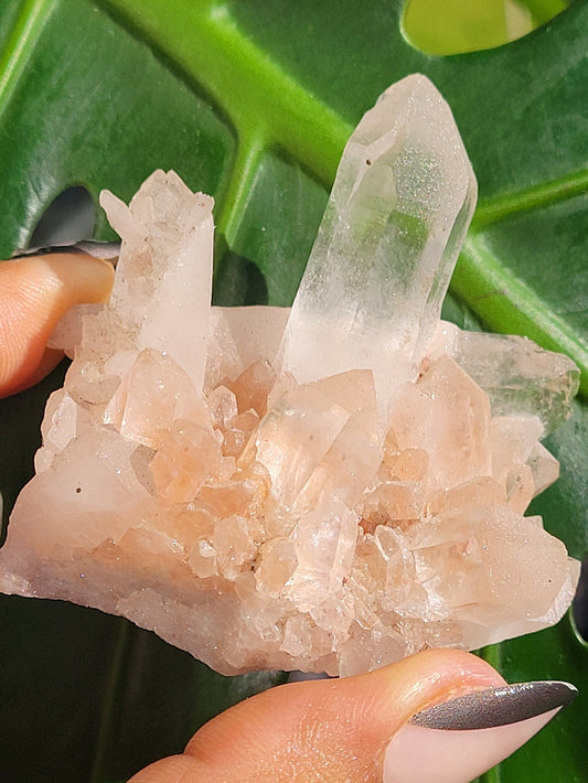 Stunning Pink Himalayan Quartz Cluster from the Himalayan Mountains|Crystal Collector|Birthday Valentines Day Love Gift Ideas | Home Decor