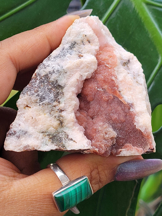 Pretty in Pink Starbloom Druze Cobalto Calcite on Matrix Specimen - Natural Gemstones - Home Decor - Gift - Crystal Collectors - Mexico