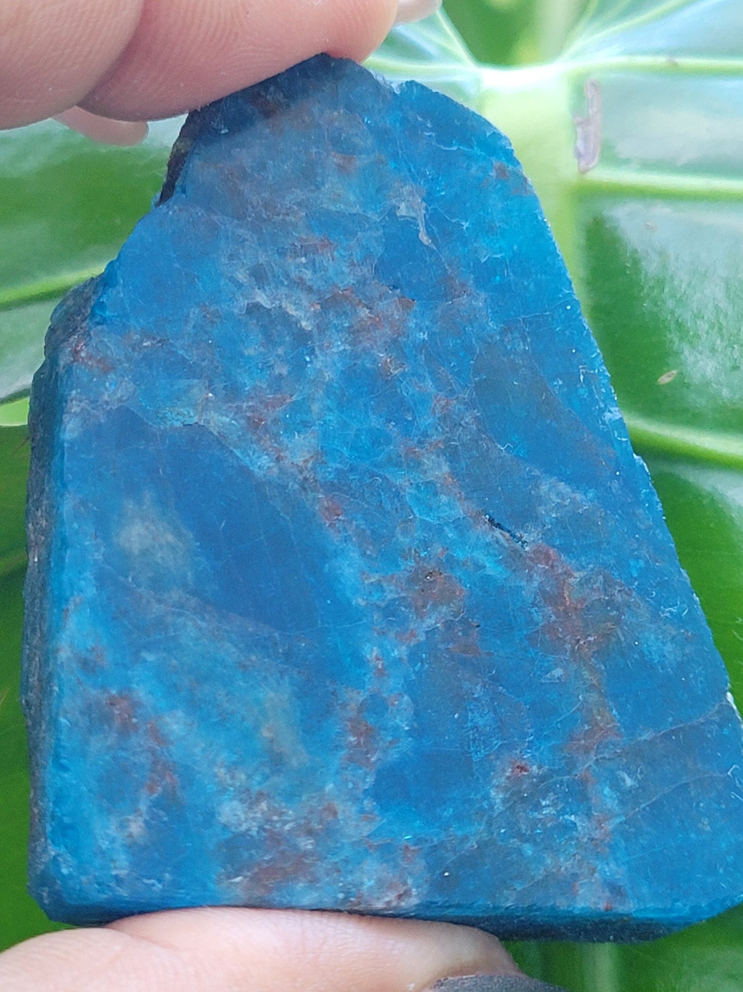 Gorgeous Apatite Crystal | Front Polished Mini Slab | Crystal Collector | Home Decor and Crafts | Gift Ideas | Intuitively Picked | Blue