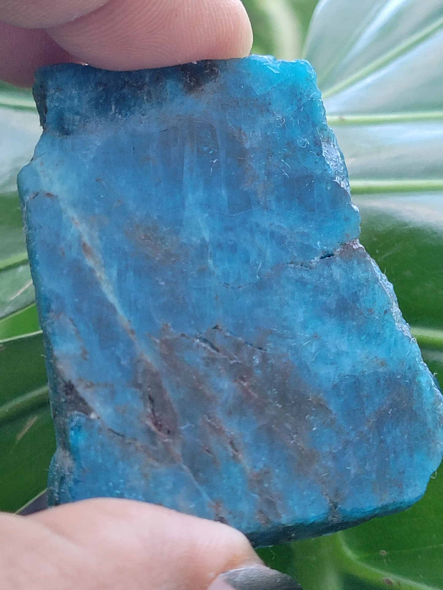 Gorgeous Apatite Crystal | Front Polished Mini Slab | Crystal Collector | Home Decor and Crafts | Gift Ideas | Intuitively Picked | Blue