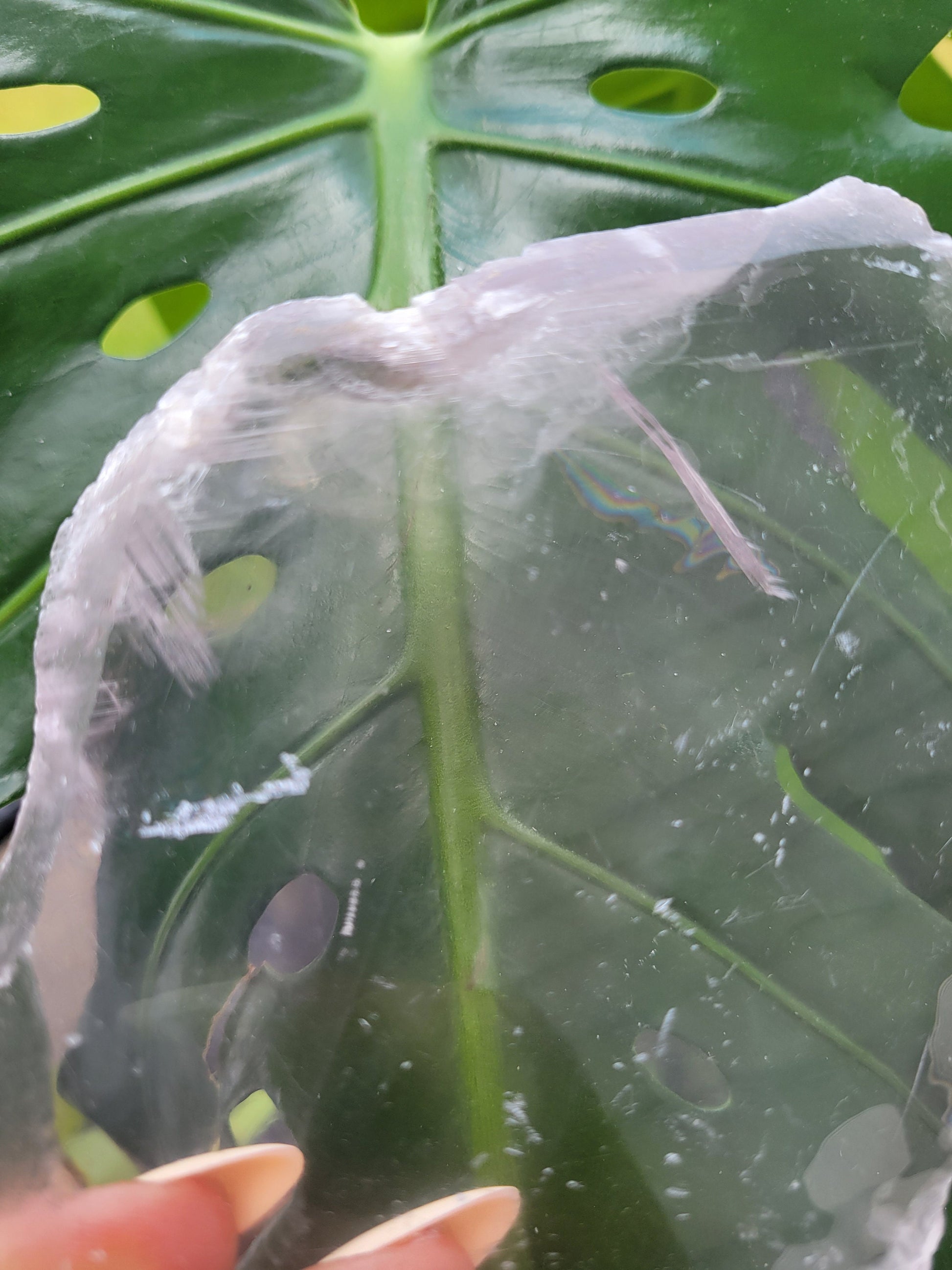 Selenite Crystal Slab with phantoms | Cleansing Purifying Recharging | Home Decor | Birthday Valentines Day Love Gift Ideas | Crown Chakra
