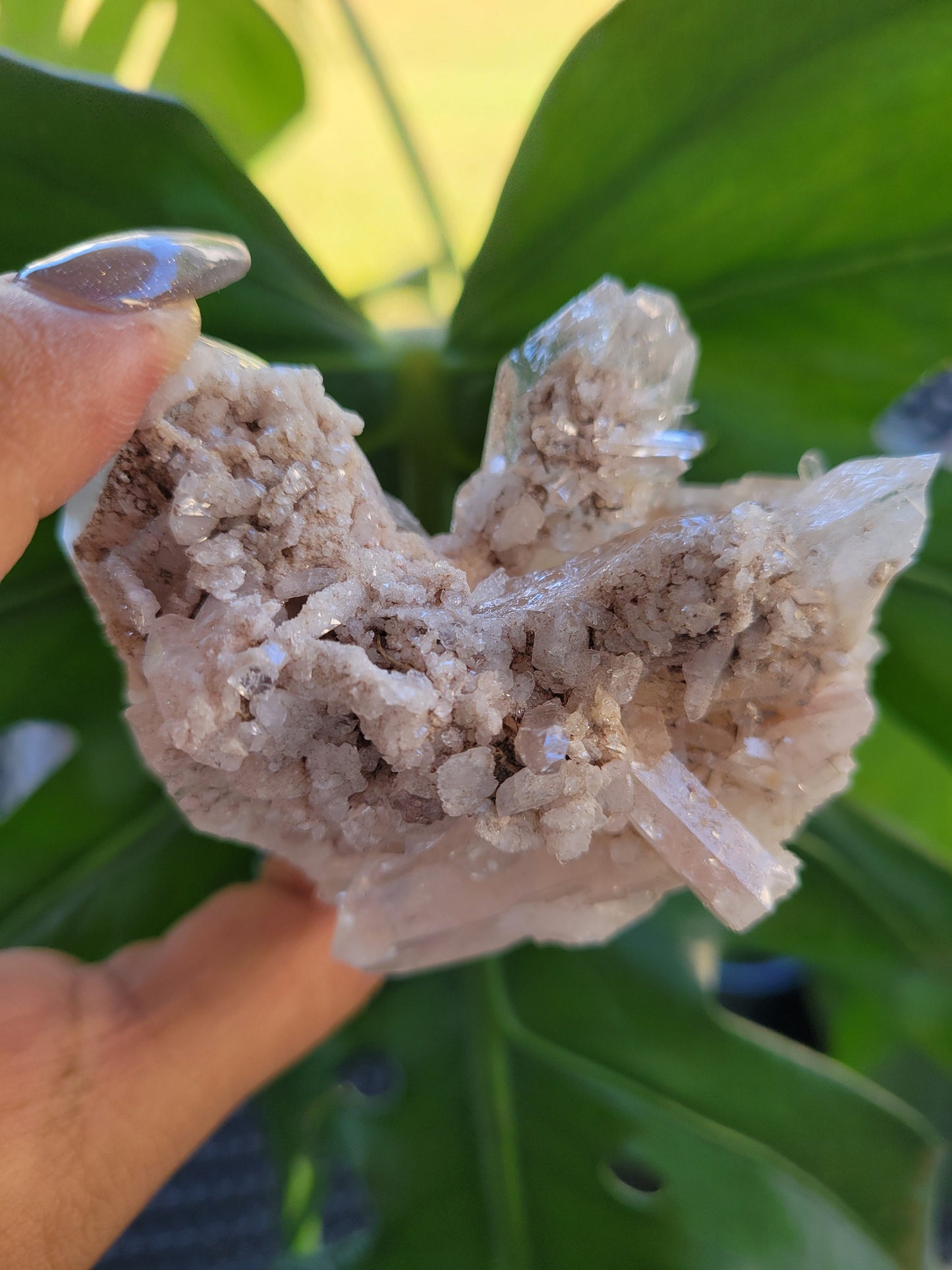 Stunning Pink Lemurian Colombian Quartz Cluster | Crystal Collector | High Quality | Home Decor | Heart Chakra | Love You Gift | Pink