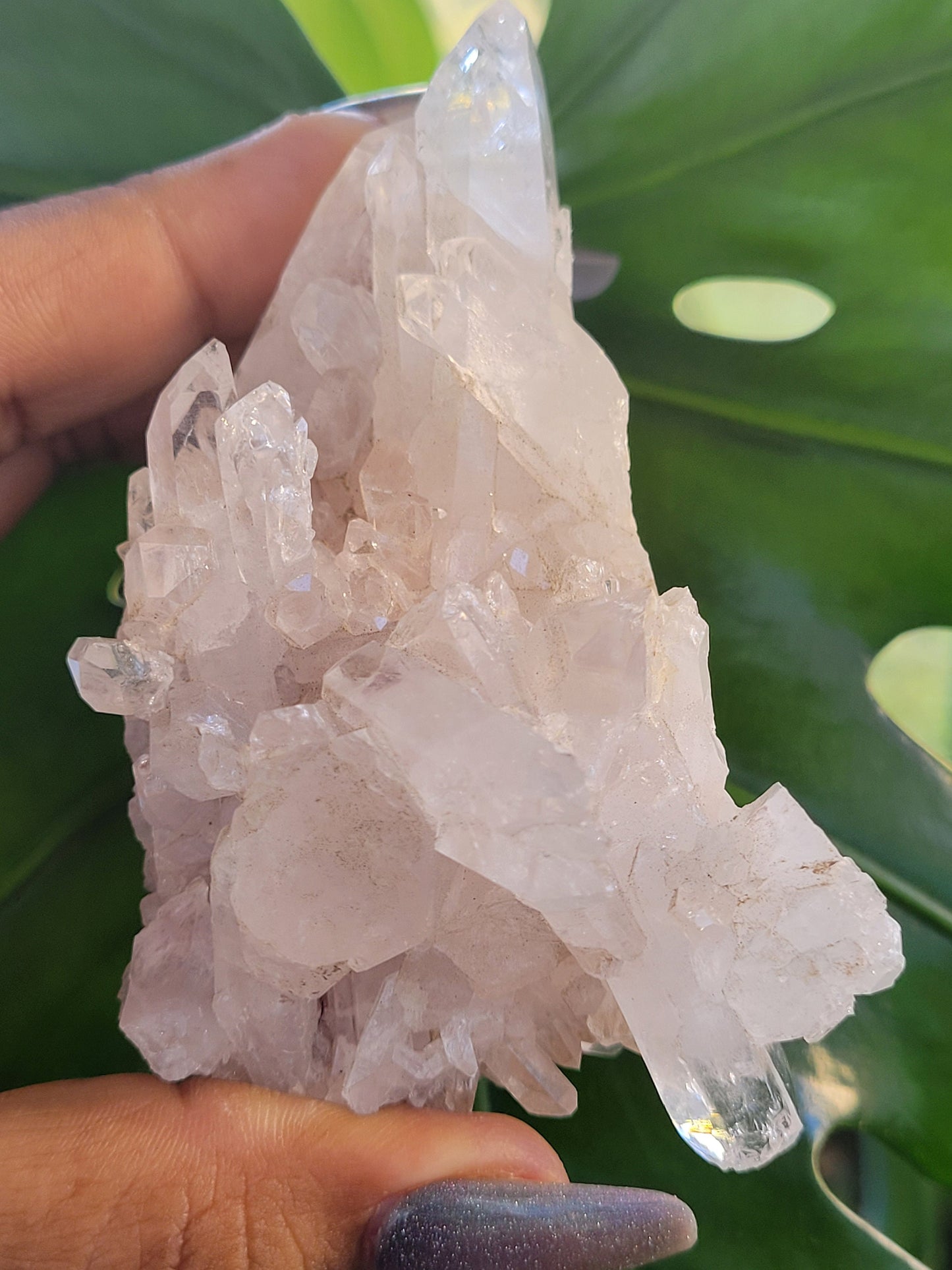 Stunning Pink Lemurian Colombian Quartz Cluster | Crystal Collector | High Quality | Home Decor | Heart Chakra | Love You Gift | Pink