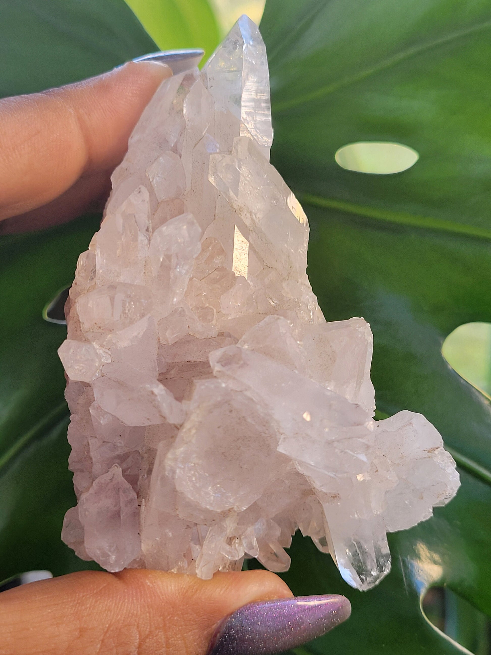 Stunning Pink Lemurian Colombian Quartz Cluster | Crystal Collector | High Quality | Home Decor | Heart Chakra | Love You Gift | Pink