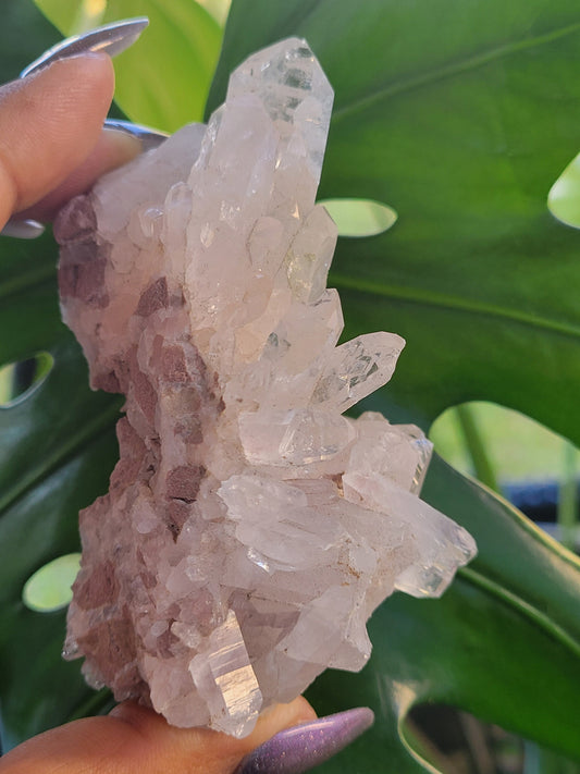 Stunning Pink Lemurian Colombian Quartz Cluster | Crystal Collector | High Quality | Home Decor | Heart Chakra | Love You Gift | Pink