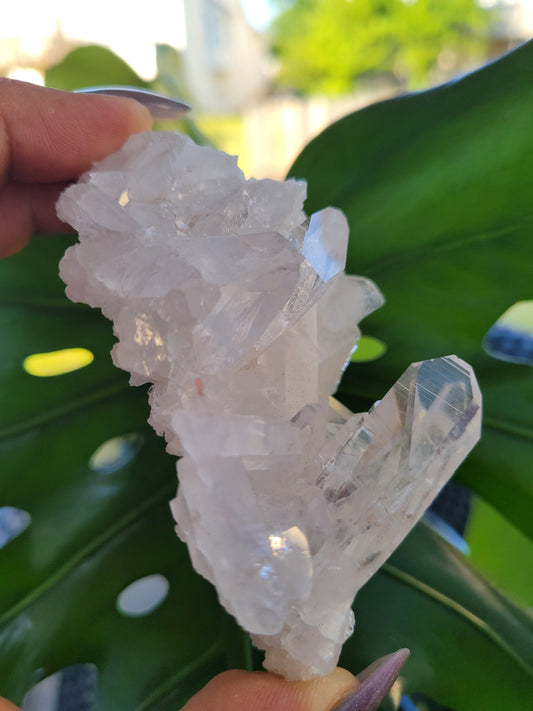 Stunning Pink Lemurian Colombian Quartz Cluster with Chlorite | Crystal Collector |High Quality | Home Decor|Heart Chakra|Love You Gift|Pink