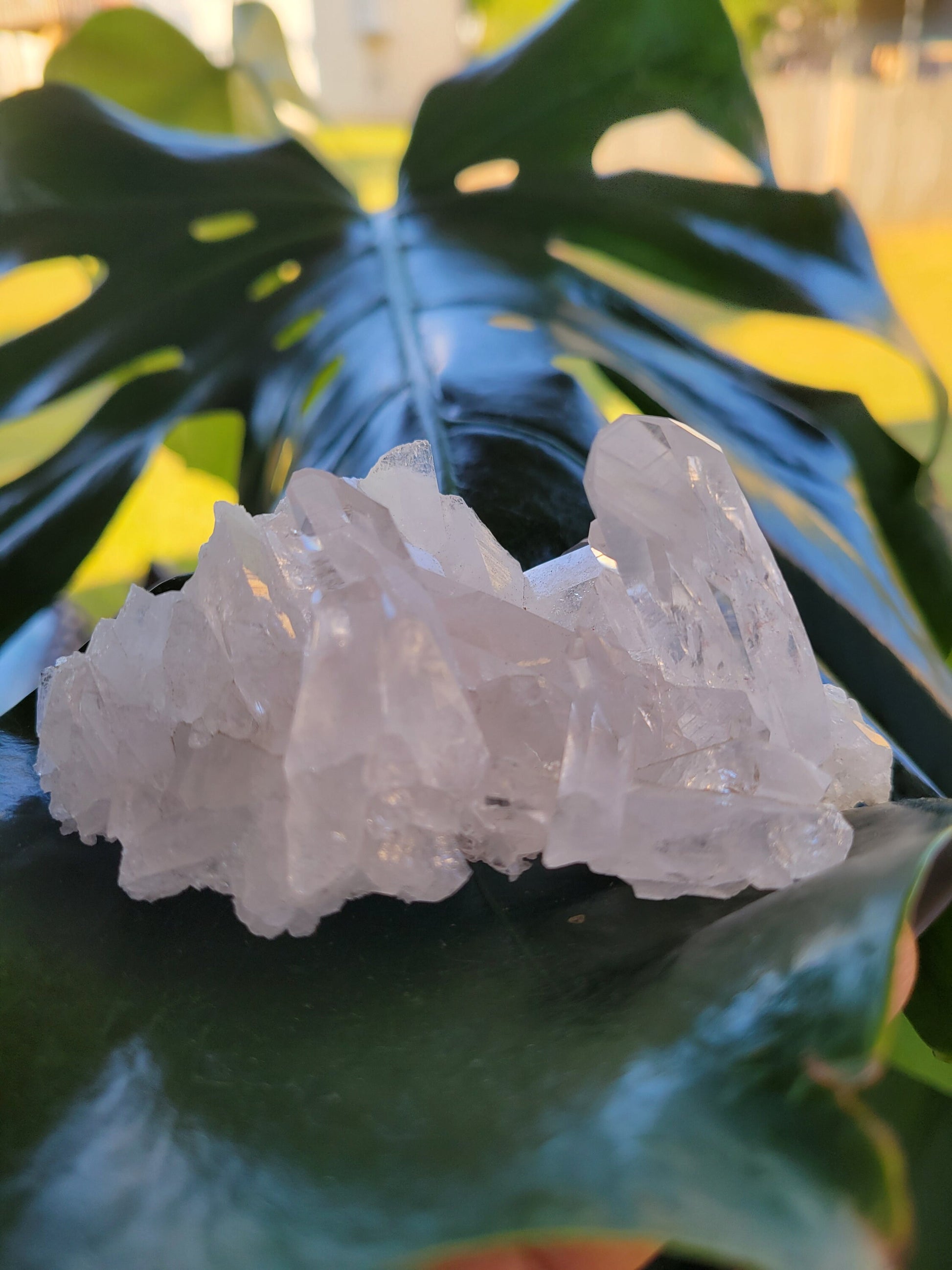 Stunning Pink Lemurian Colombian Quartz Cluster with Chlorite | Crystal Collector |High Quality | Home Decor|Heart Chakra|Love You Gift|Pink