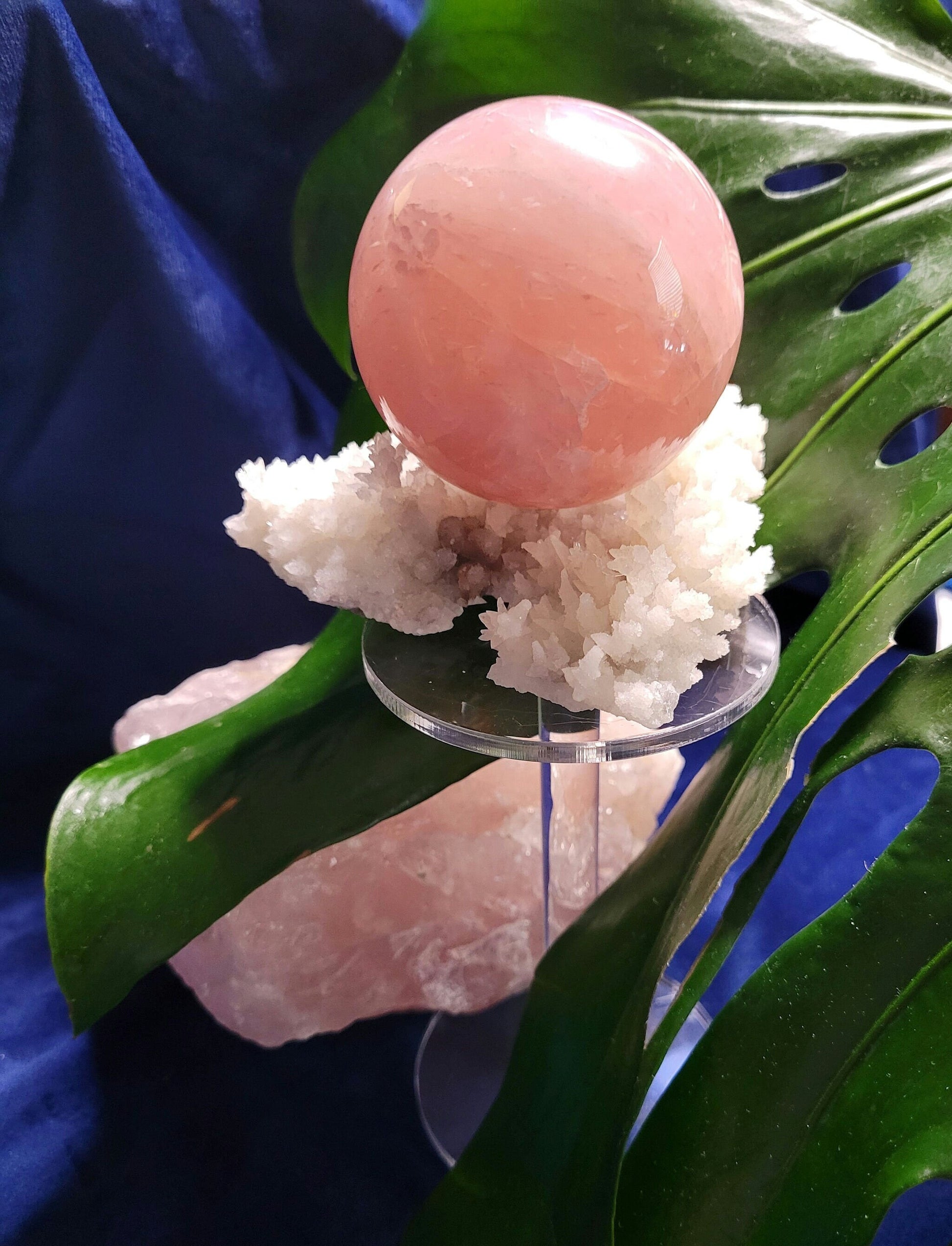 Stunning Gemmy Star Rose Quartz Sphere from Brazil - 62mm - High Quality - Pretty in Pink - Crystal Collector - Home Decor - Gift
