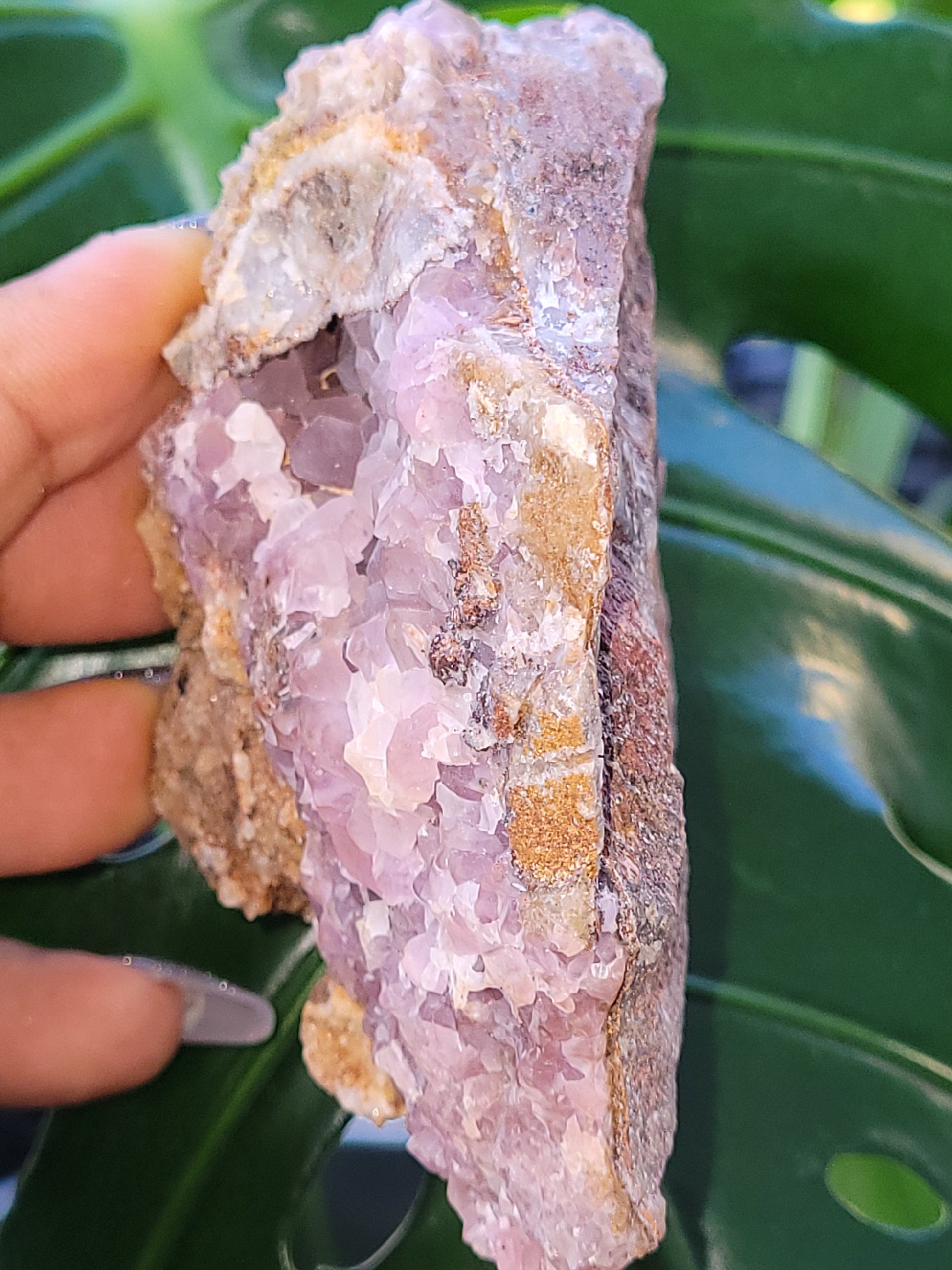 Pretty in Pink Starbloom Druze Cobalto Calcite on Matrix Specimen - Natural Gemstones - Home Decor - Gift - Crystal Collectors - Mexico