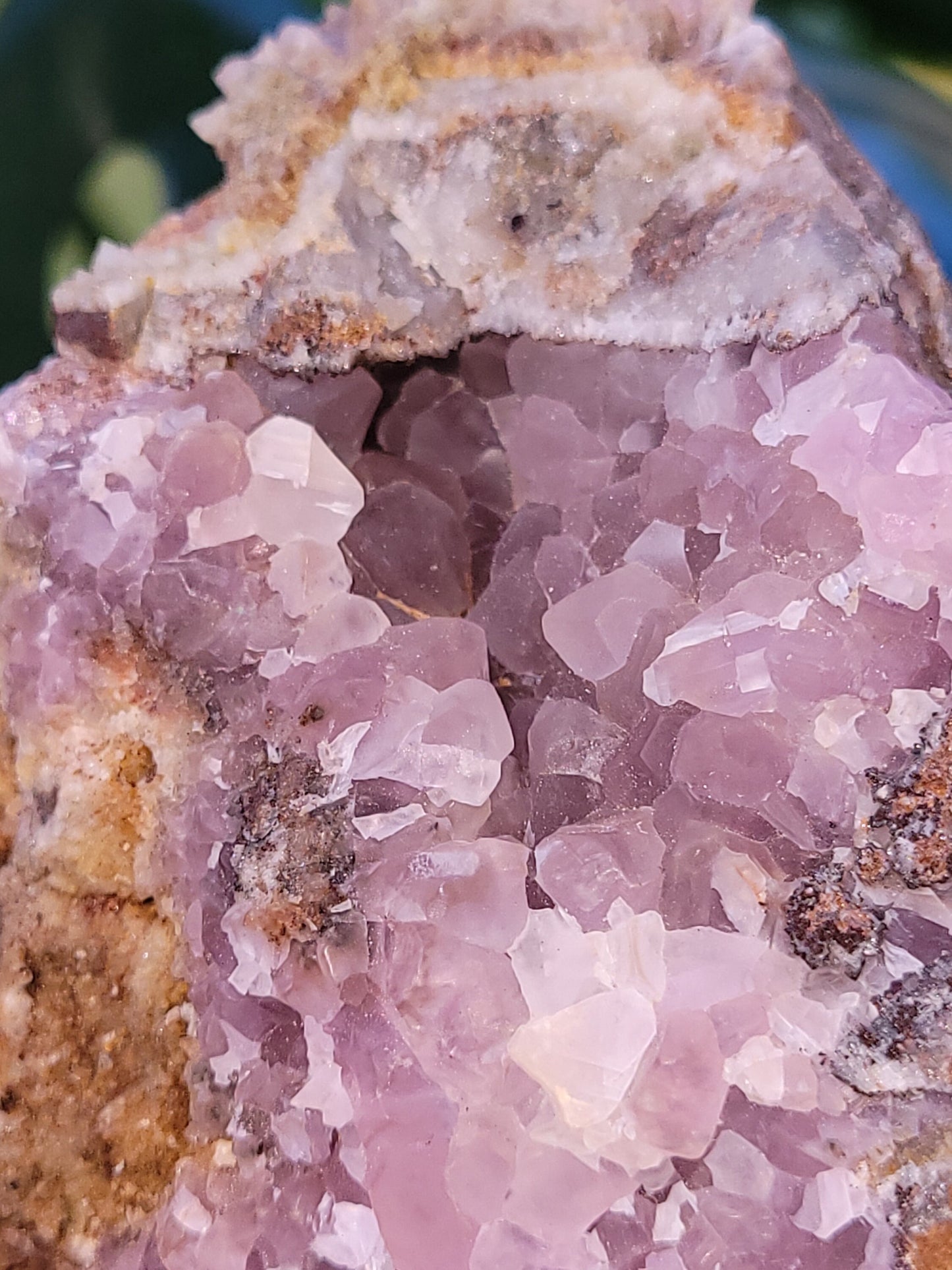 Pretty in Pink Starbloom Druze Cobalto Calcite on Matrix Specimen - Natural Gemstones - Home Decor - Gift - Crystal Collectors - Mexico