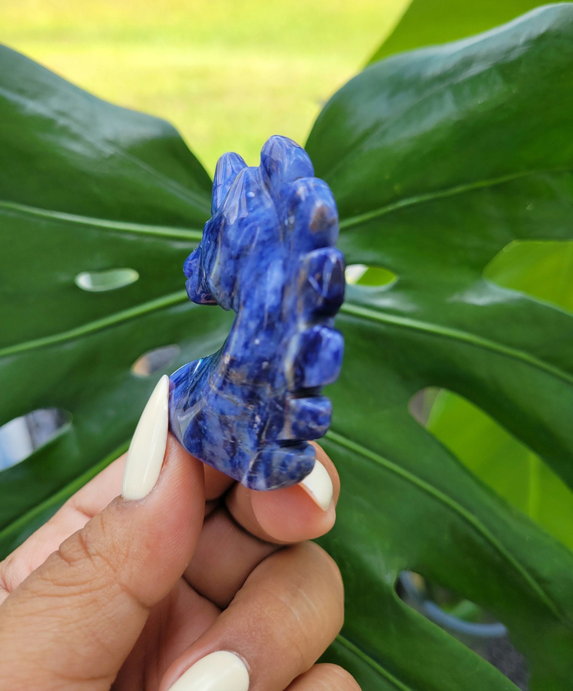 Sunset Sodalite Unicorn Crystal Carving - Crystal Collector - Master Carver - Gift - Luxury Home Decor