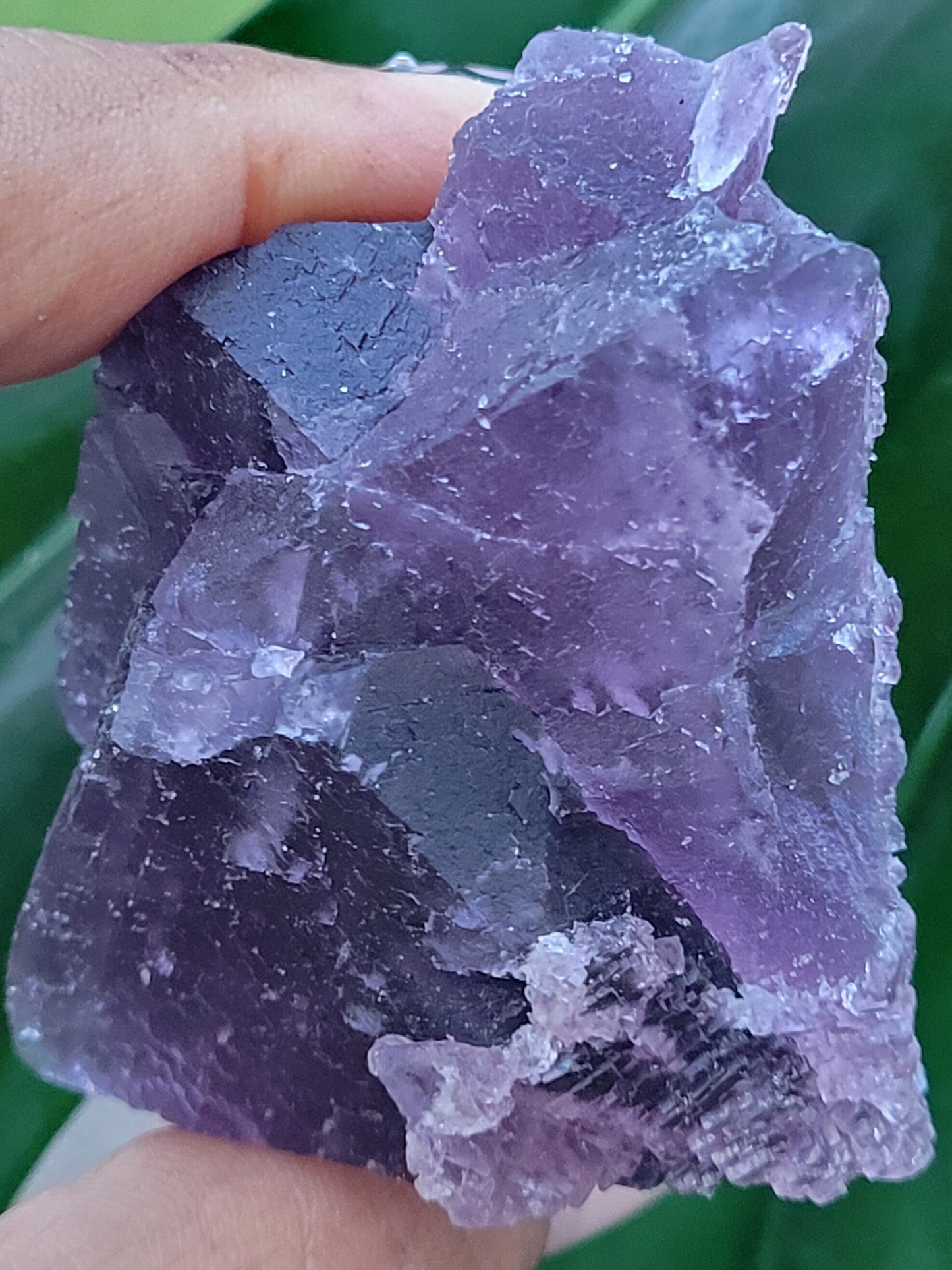 Beautiful Fluorite Specimen | Bicolor Purple and Lavender | Crystal Collector|Home Decor | Birthday Christmas Love Gift Ideas | Genius Stone