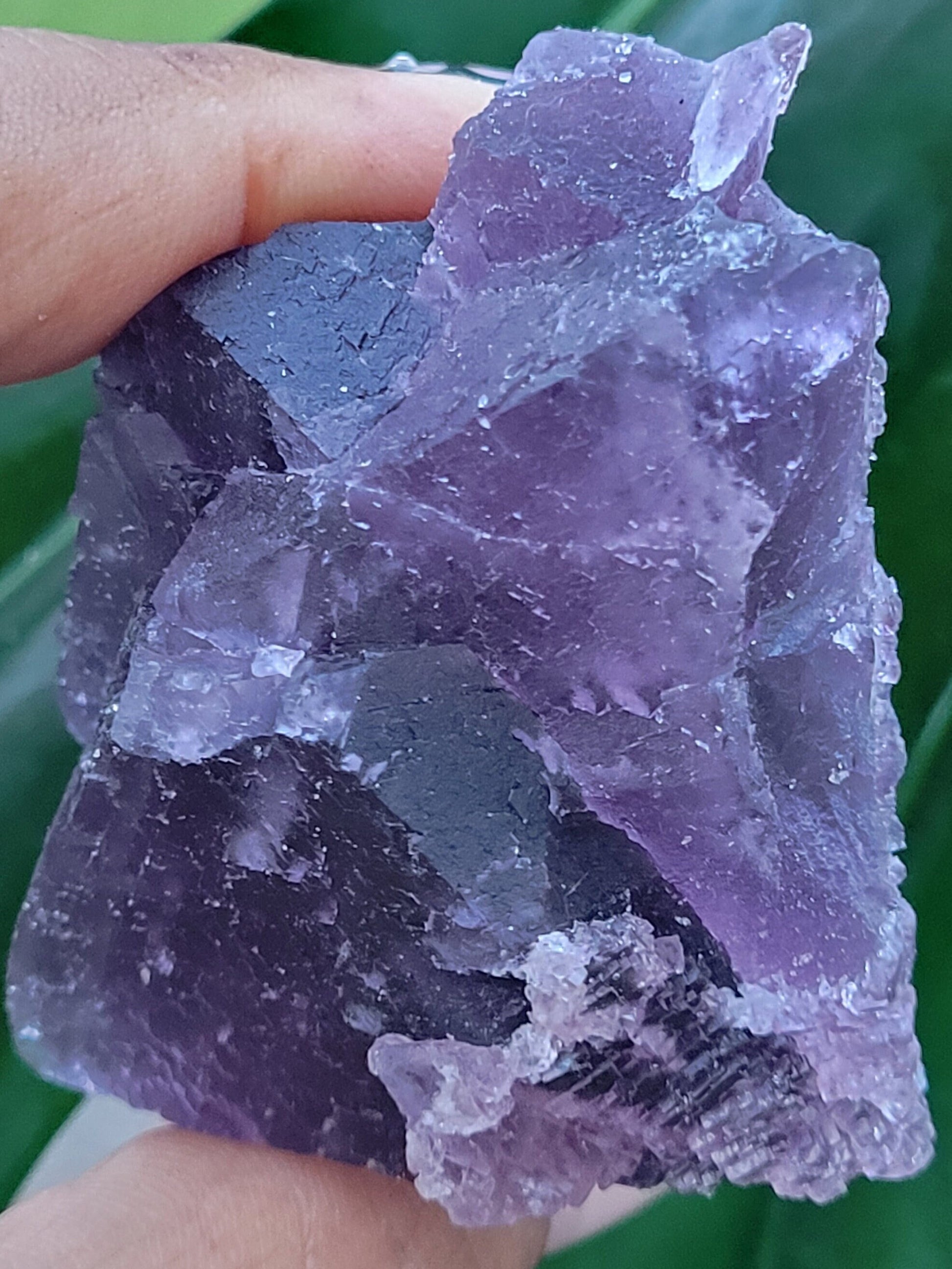 Beautiful Fluorite Specimen | Bicolor Purple and Lavender | Crystal Collector|Home Decor | Birthday Christmas Love Gift Ideas | Genius Stone