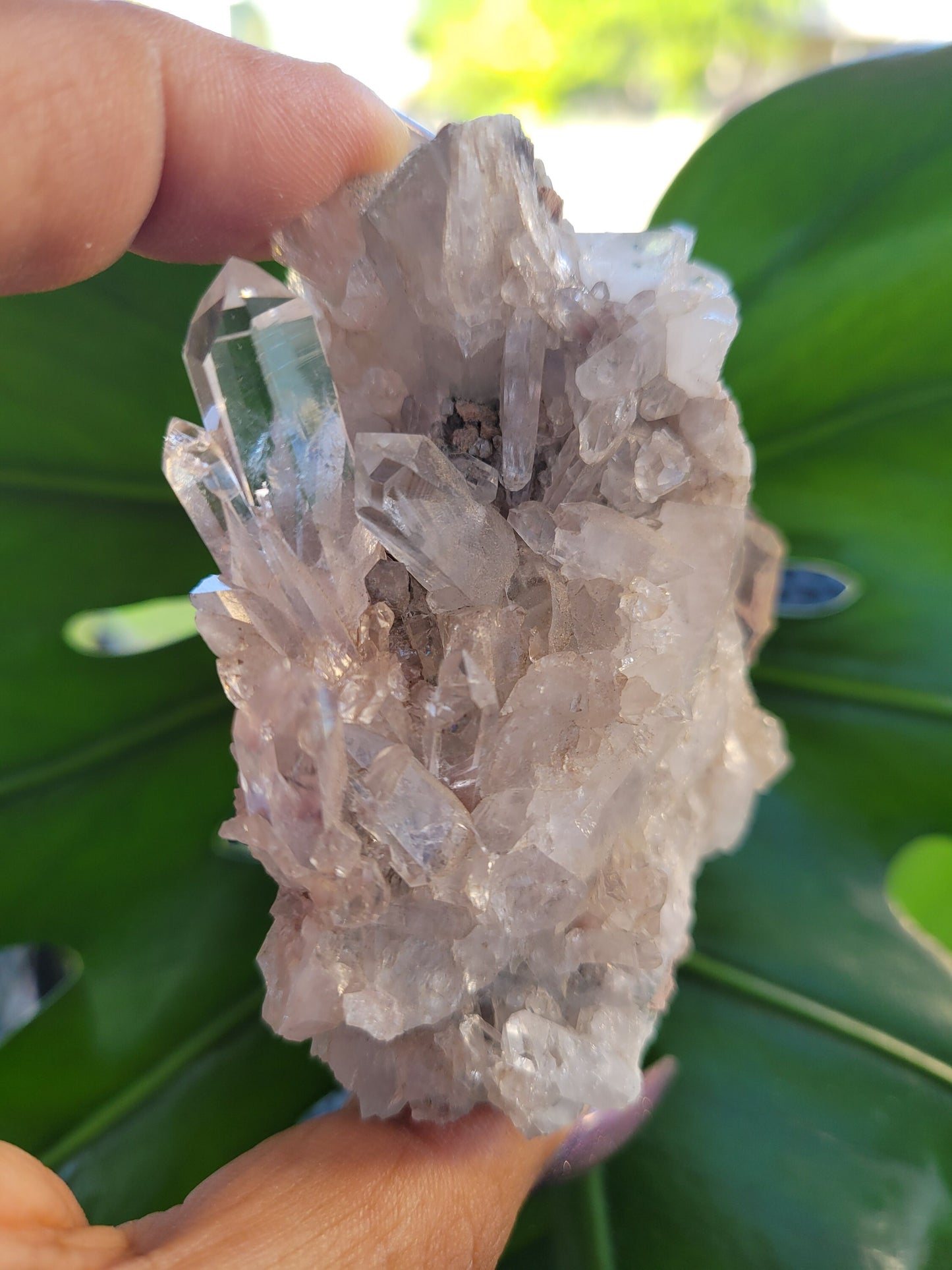 Stunning Pink Lemurian Colombian Quartz Cluster with Chlorite | Crystal Collector |High Quality | Home Decor|Heart Chakra|Love You Gift|Pink