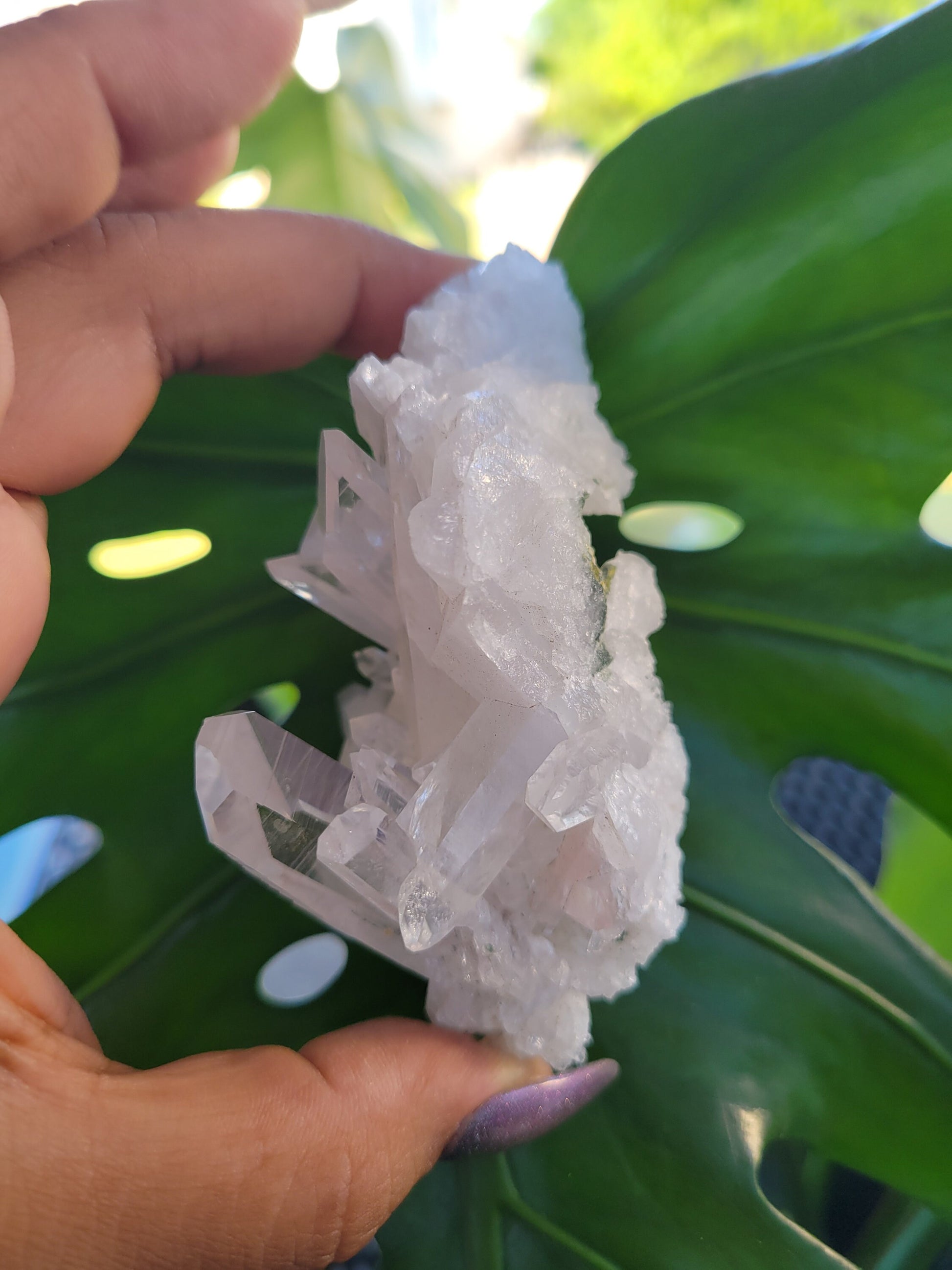 Stunning Pink Lemurian Colombian Quartz Cluster with Chlorite | Crystal Collector |High Quality | Home Decor|Heart Chakra|Love You Gift|Pink