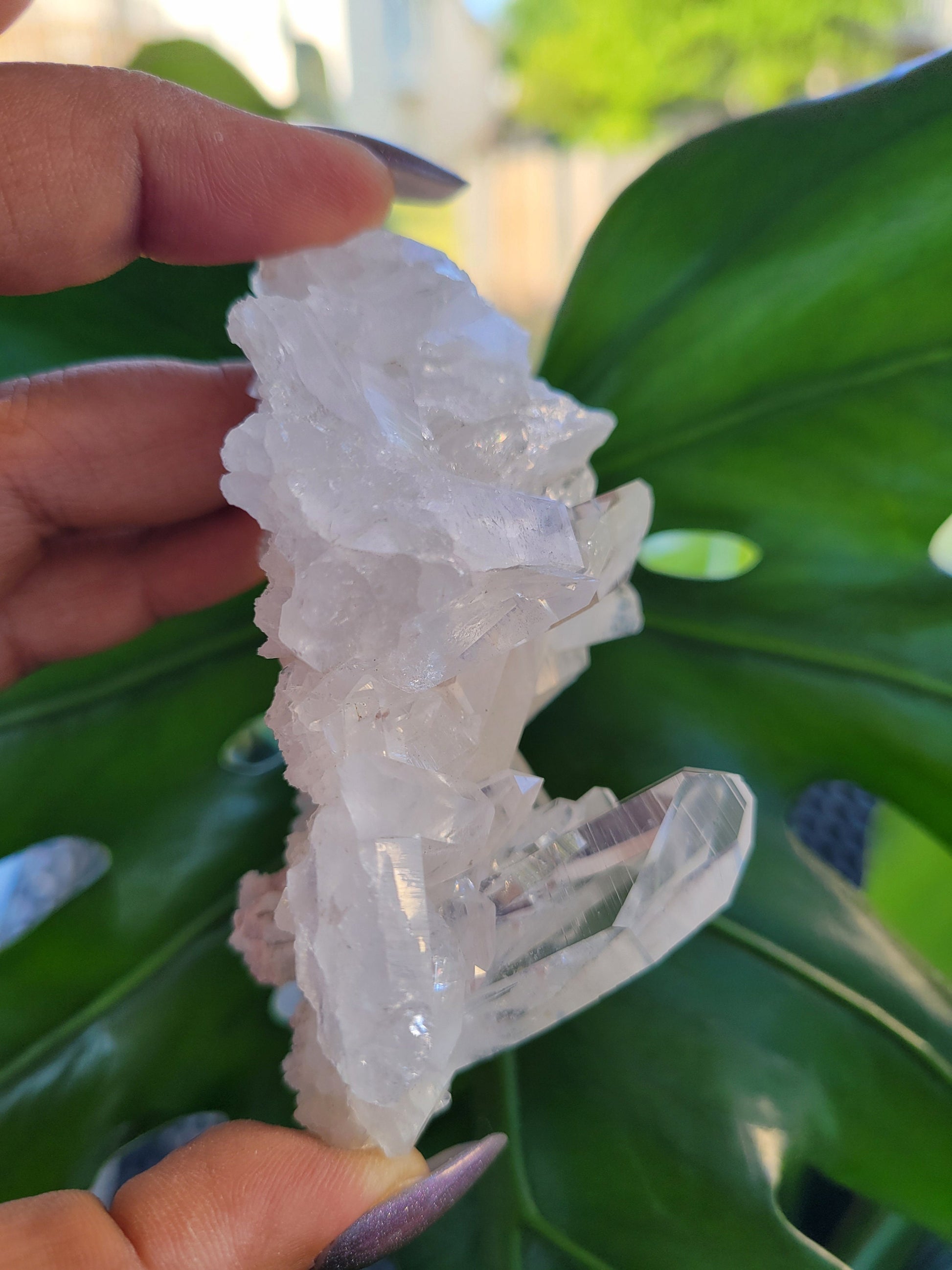Stunning Pink Lemurian Colombian Quartz Cluster with Chlorite | Crystal Collector |High Quality | Home Decor|Heart Chakra|Love You Gift|Pink