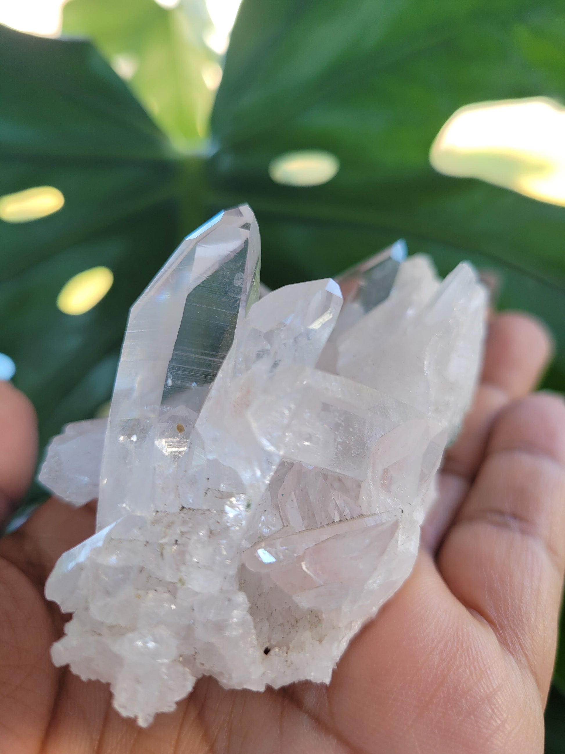 Stunning Pink Lemurian Colombian Quartz Cluster with Chlorite | Crystal Collector |High Quality | Home Decor|Heart Chakra|Love You Gift|Pink