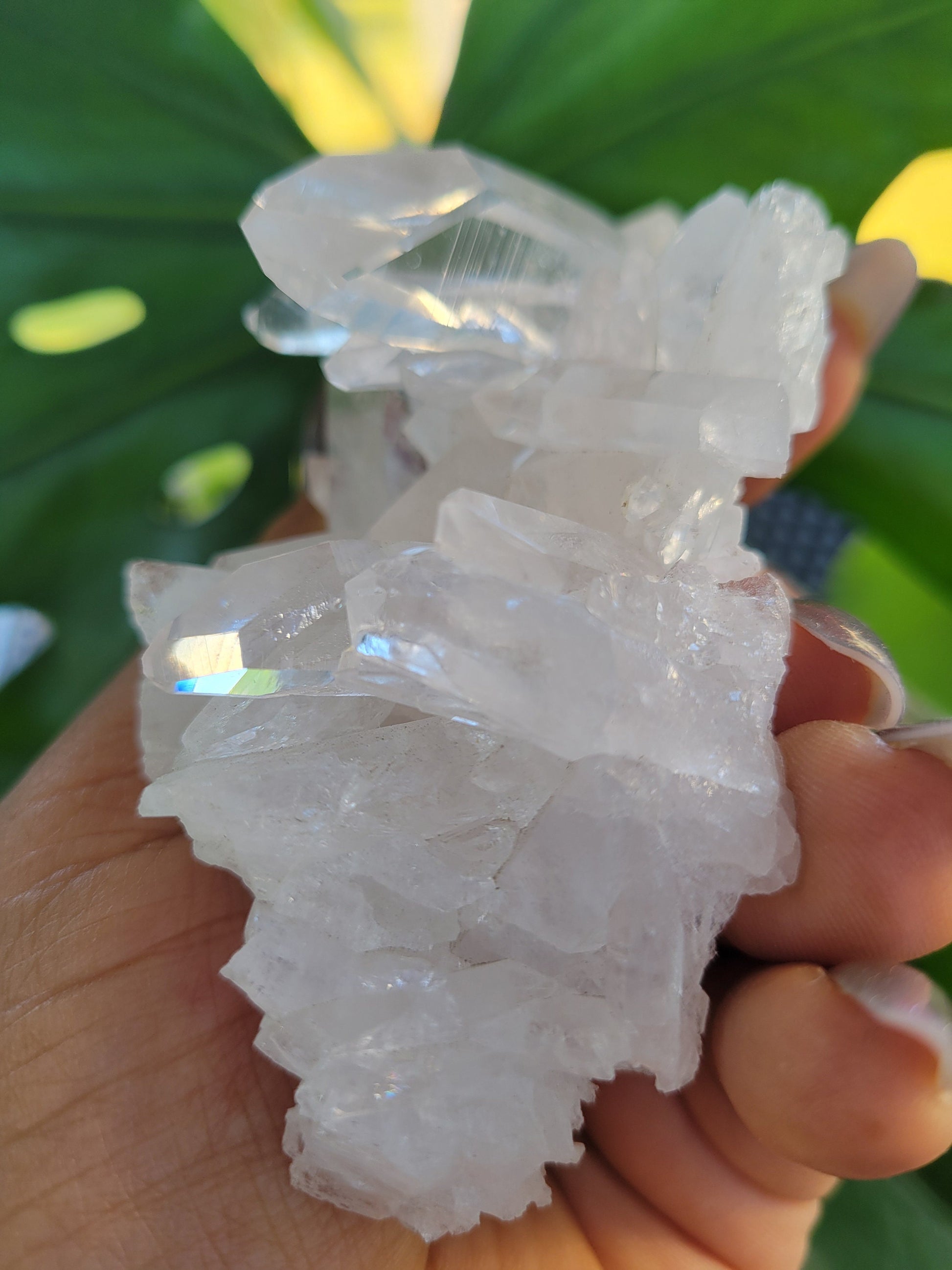 Stunning Pink Lemurian Colombian Quartz Cluster with Chlorite | Crystal Collector |High Quality | Home Decor|Heart Chakra|Love You Gift|Pink