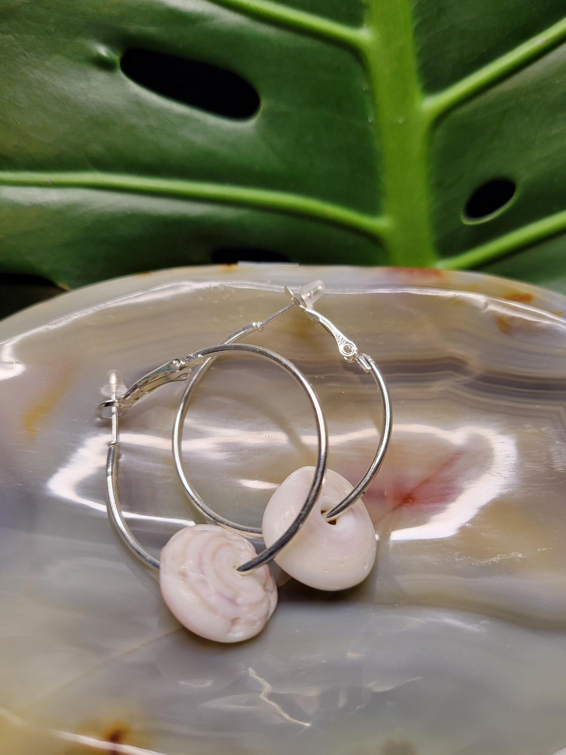 Beautiful Hawaiian Puka Shell Earrings - Nickel Free - Jewelry - Shells hand picked from a Beach in Hawaii - Birthday Anniversary Love Gift