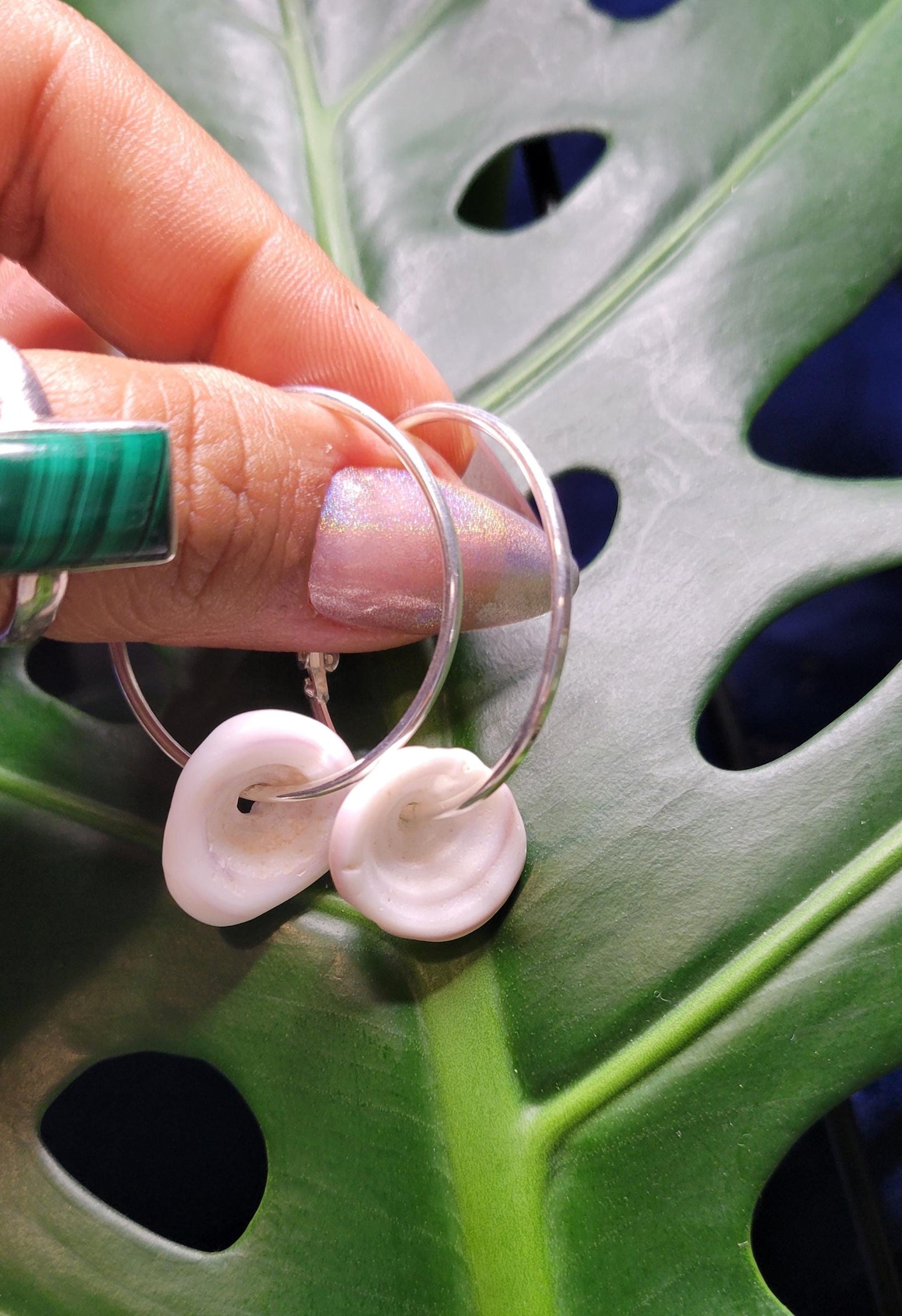 Beautiful Hawaiian Puka Shell Earrings - Nickel Free - Jewelry - Shells hand picked from a Beach in Hawaii - Birthday Anniversary Love Gift