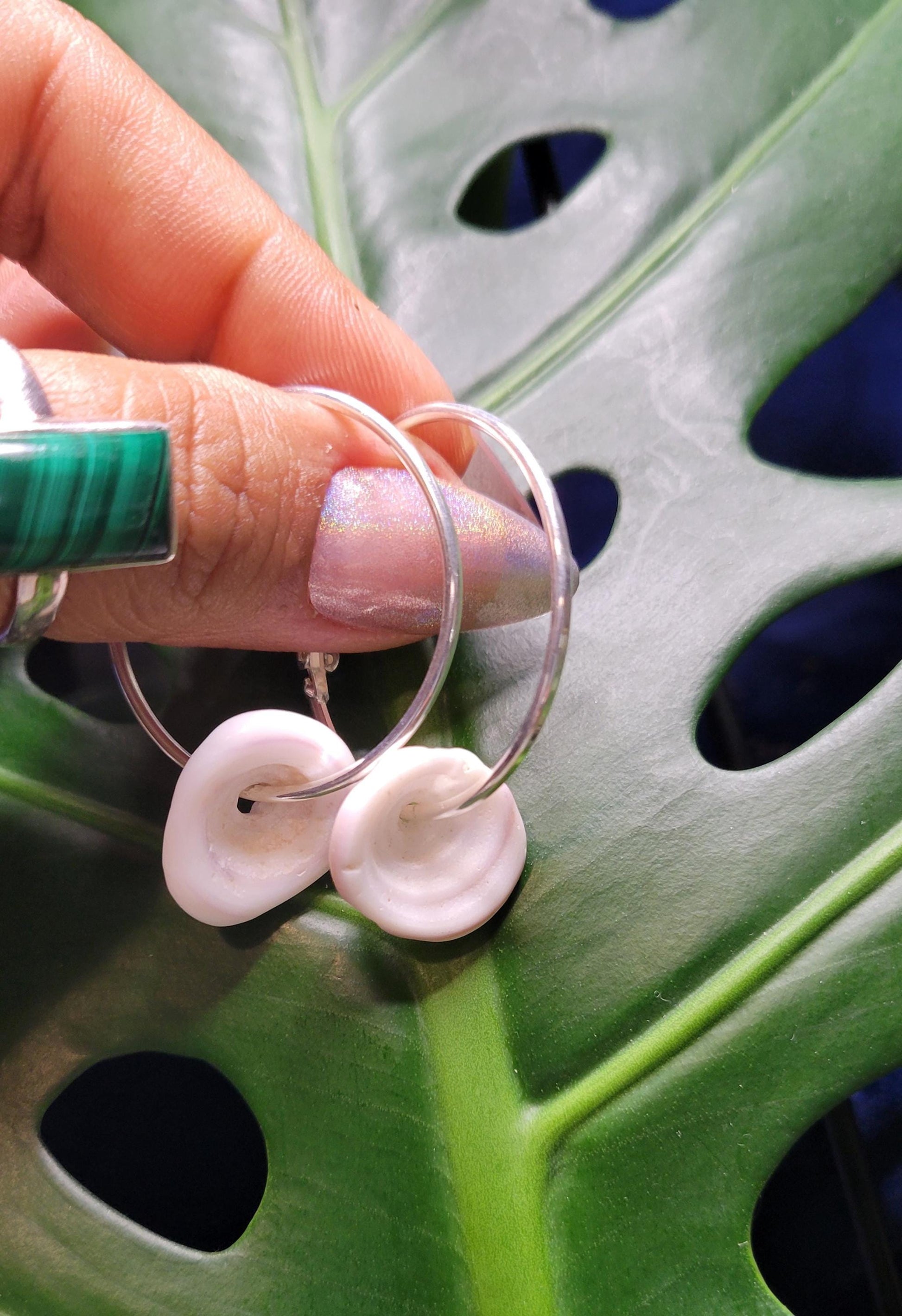 Beautiful Hawaiian Puka Shell Earrings - Nickel Free - Jewelry - Shells hand picked from a Beach in Hawaii - Birthday Anniversary Love Gift