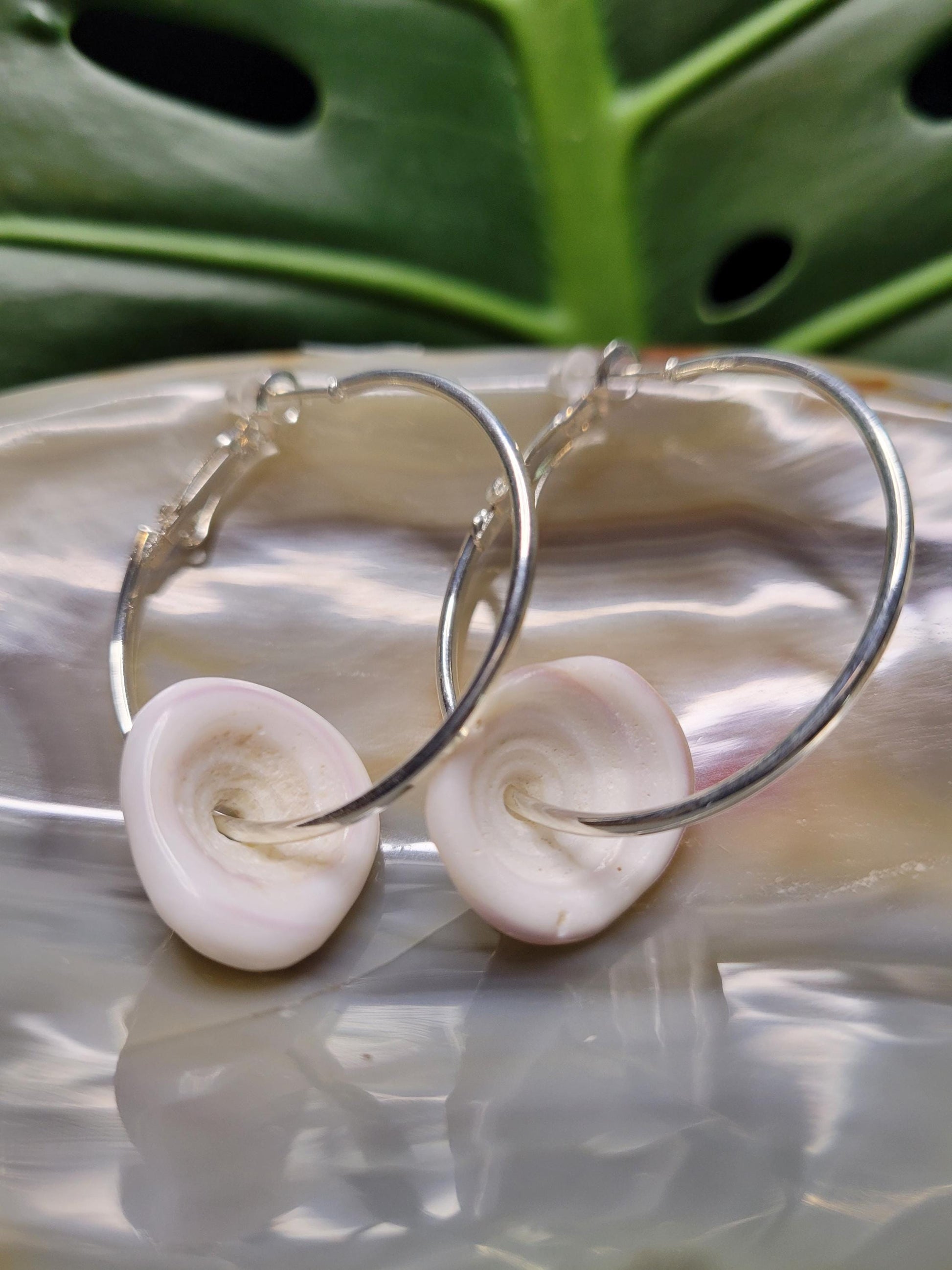 Beautiful Hawaiian Puka Shell Earrings - Nickel Free - Jewelry - Shells hand picked from a Beach in Hawaii - Birthday Anniversary Love Gift