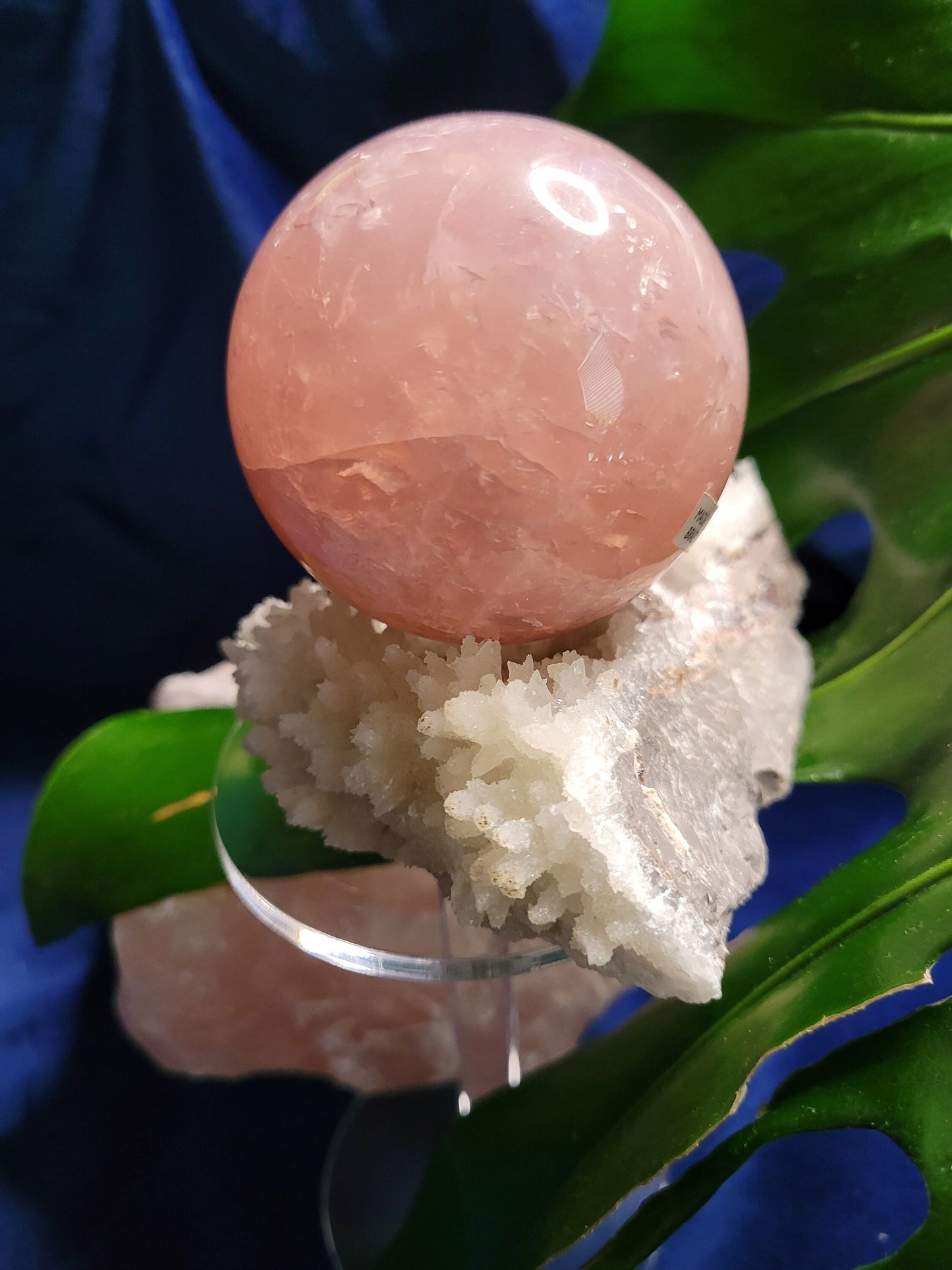 Stunning Gemmy Star Rose Quartz Sphere from Brazil - 62mm - High Quality - Pretty in Pink - Crystal Collector - Home Decor - Gift