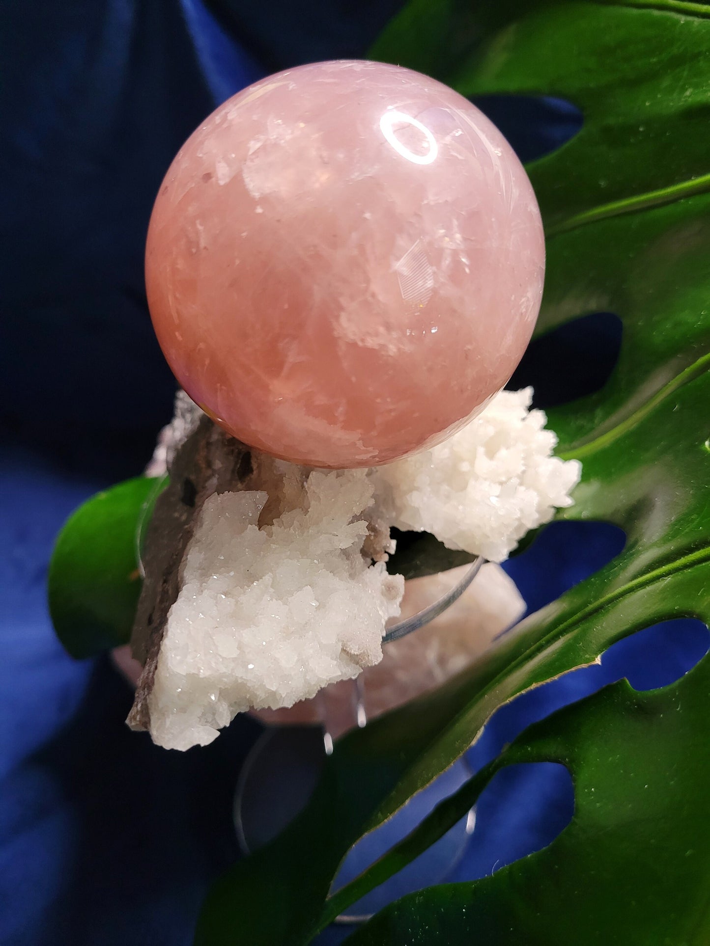 Stunning Gemmy Star Rose Quartz Sphere from Brazil - 62mm - High Quality - Pretty in Pink - Crystal Collector - Home Decor - Gift