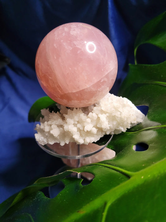 Stunning Gemmy Star Rose Quartz Sphere from Brazil - 62mm - High Quality - Pretty in Pink - Crystal Collector - Home Decor - Gift