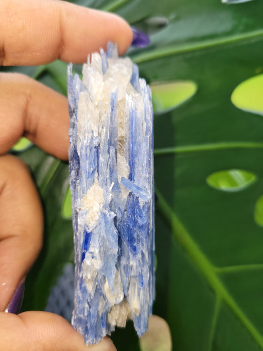 Kyanite & Quartz Crystal - Raw Natural Mineral Specimen - Home Decor - Crystal Collector - Gift