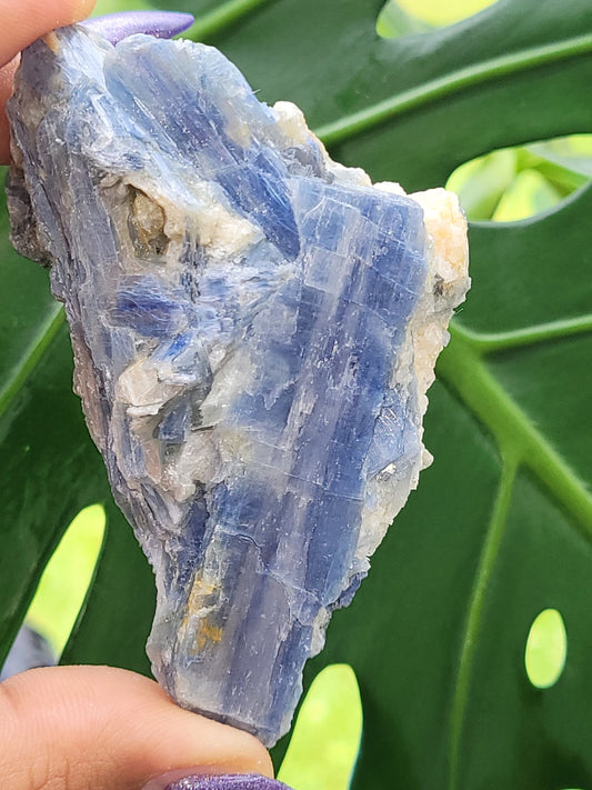 Kyanite & Quartz Crystal - Raw Natural Mineral Specimen - Home Decor - Crystal Collector - Gift