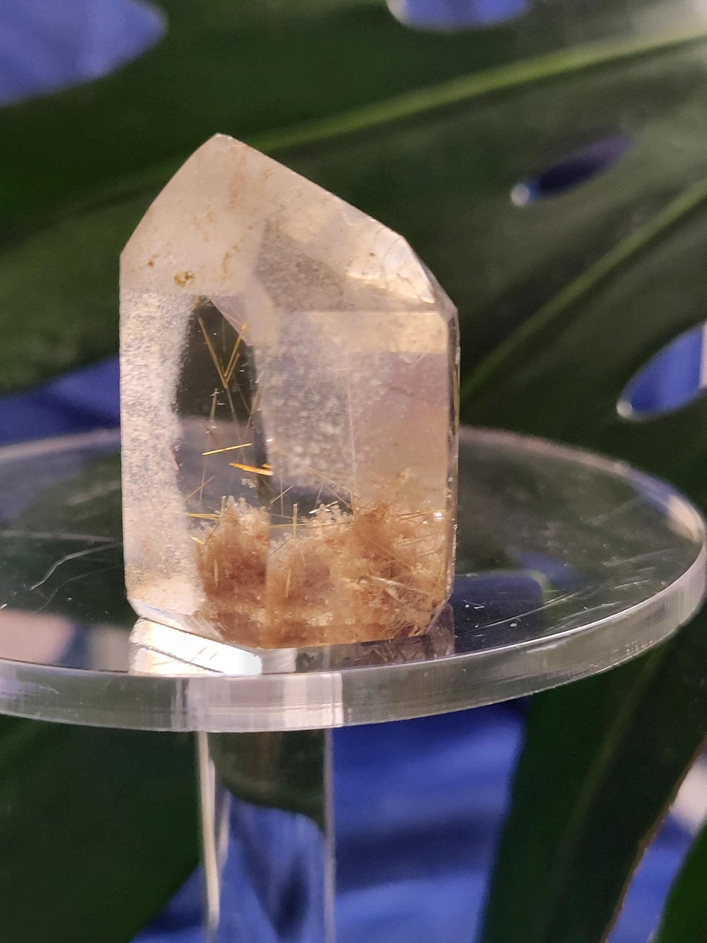 AAA Grade Stunning Rutilated Clear Quartz from Brazil | Lodolite & Gold Rutile Inclusions | Collectors Piece | Gift Ideas | All Chakras