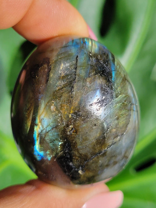 Flashy Labradorite Egg with Black Tourmaline from Madagascar-Birthday Anniversary Christmas Gift Ideas-Crystal Love Healing Energy