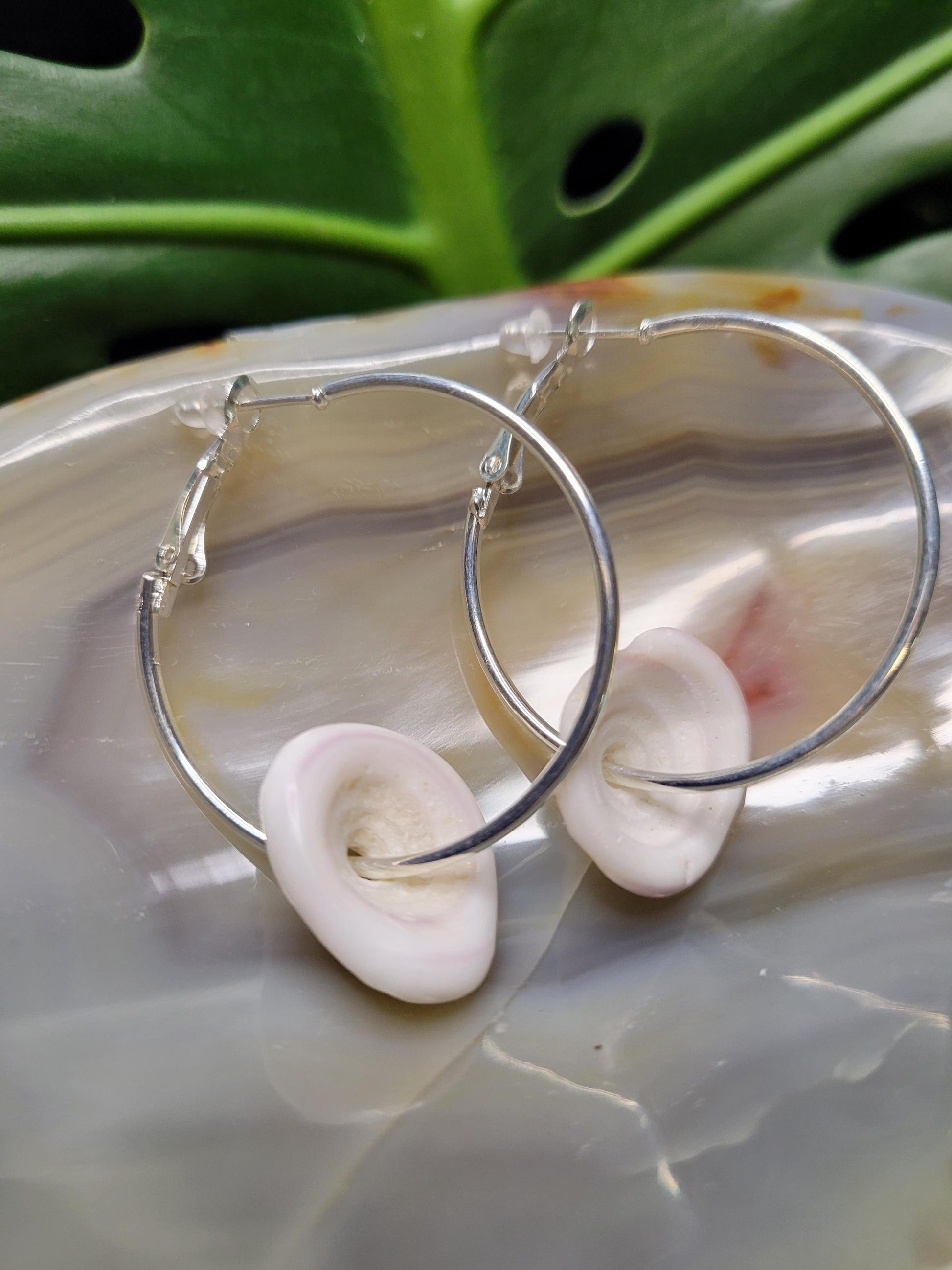 Beautiful Hawaiian Puka Shell Earrings - Nickel Free - Jewelry - Shells hand picked from a Beach in Hawaii - Birthday Anniversary Love Gift