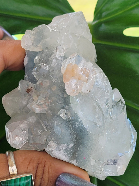 Gorgeous HQ Diamond Apophyllite with Peach Stilbite on Blue Chalcedony - India - Crystal Dbl Sided- Crystal Collector - Home Decor - Gift -