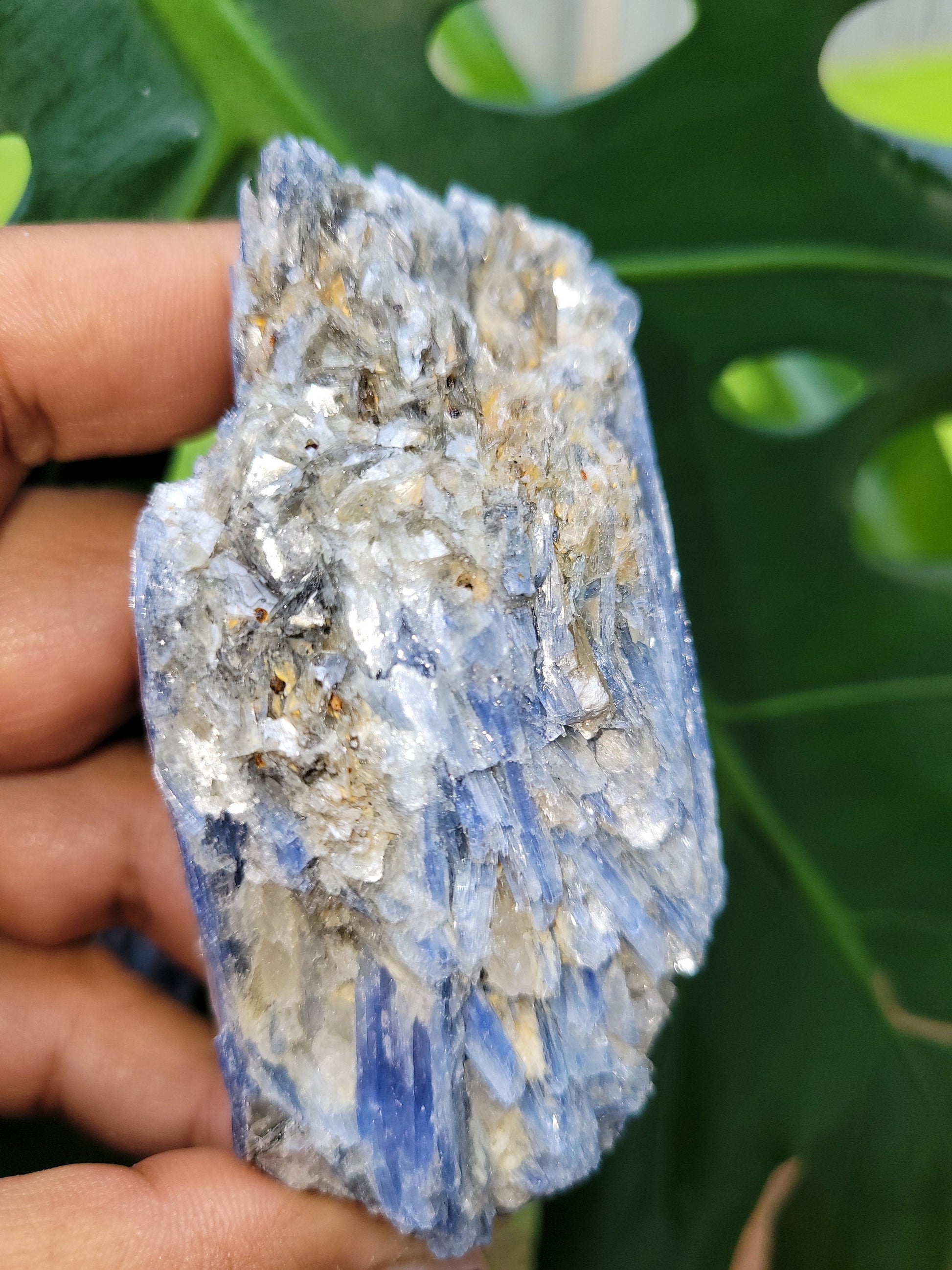 Kyanite & Quartz Crystal with Mica Inclusions - Raw Natural Mineral Specimen - Home Decor - Crystal Collector - Gift