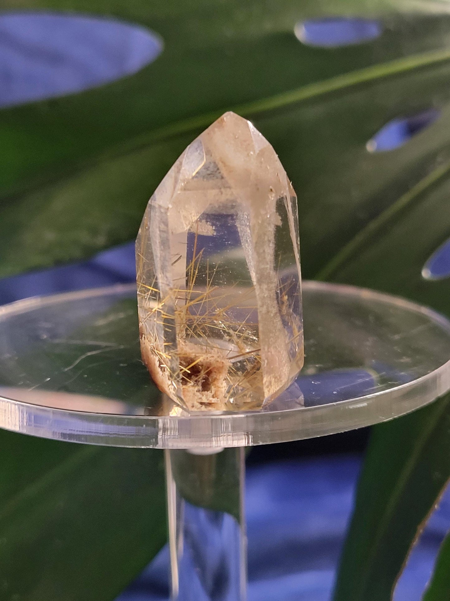 AAA Grade Stunning Rutilated Clear Quartz from Brazil | Lodolite & Gold Rutile Inclusions | Collectors Piece | Gift Ideas | All Chakras