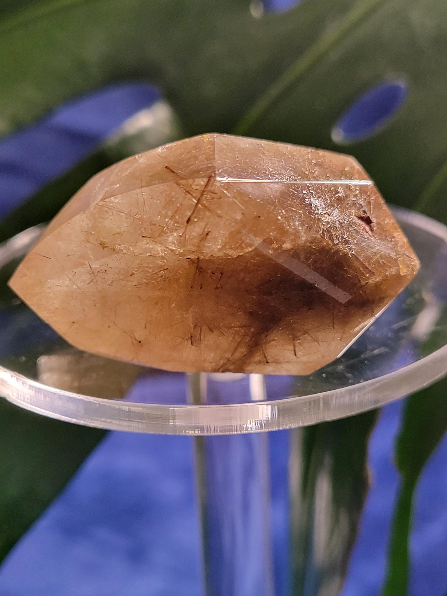 AAA Grade Stunning Rutilated Quartz Freeform Crystal from Brazil - Collectors Piece - Gold Rutile - Home Decor - Gift - 40 grams